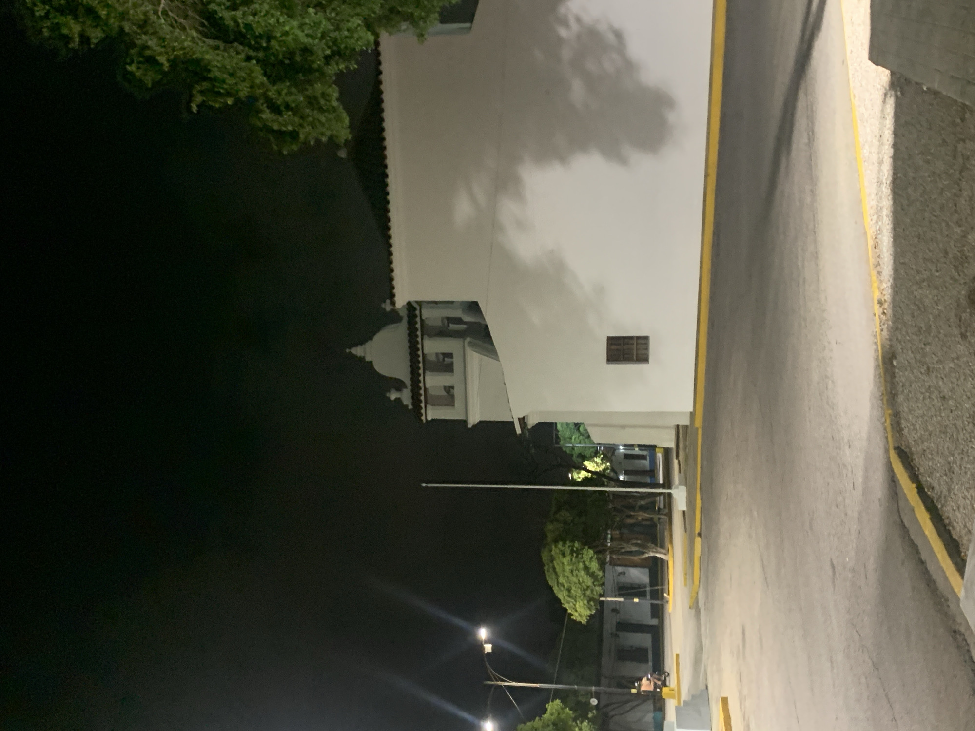 The image captures a nighttime scene in Tacarigua, Venezuela. A prominent white building with a tiled roof and a distinctive small, decorative white cupola or structure at its rear occupies the left side of the frame. Shadows of tree branches are distinctly cast upon the bright white wall, suggesting an external light source. A dark, shuttered window is visible on the building's side.
On the far left, dense green tree foliage is silhouetted against the dark night sky. To the right, an asphalt road or paved area with clear yellow curb markings curves gently upwards and out of view. Adjacent to the road's edge on the right is a rough, gravelly or stony surface.
In the lower center, multiple streetlights emit bright light, some creating lens flares, illuminating the area. Additional trees and indistinct structures can be seen in the deeper background, under the sparse artificial lighting. The sky is completely dark, confirming the night setting. The scene is devoid of people or any specific activity. No visible text is present.
