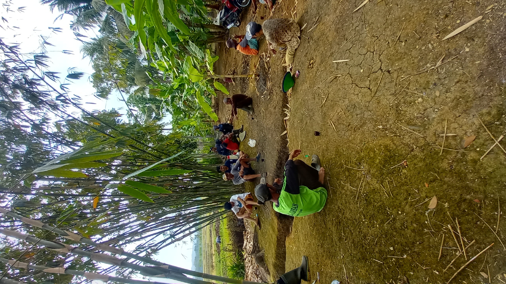 In Sidamulya, Indonesia, a group of individuals are gathered outdoors under bamboo trees and banana plants. The scene appears to be a communal space or a break area, possibly during an agricultural activity given the backdrop of a rice field in the distance.
The individuals are seated on the ground, some on a raised earth bank. Their attire is casual, and they seem to be engaged in conversation or resting. One person in the foreground wears a bright green shirt with some writing on the back, suggesting it might be team or organization apparel. Another individual, in an orange shirt, is seen gesturing with their hand.
Scattered on the ground are a few items, including what appear to be small cups, a green hat, and some debris like dry leaves and twigs. A red motorcycle is parked to the right of the frame, suggesting some of the individuals may have arrived by vehicle. The overall environment is rural, characterized by abundant vegetation and a natural, unpaved ground surface with cracked earth in some areas. The sky is visible through the foliage, indicating it is daytime.