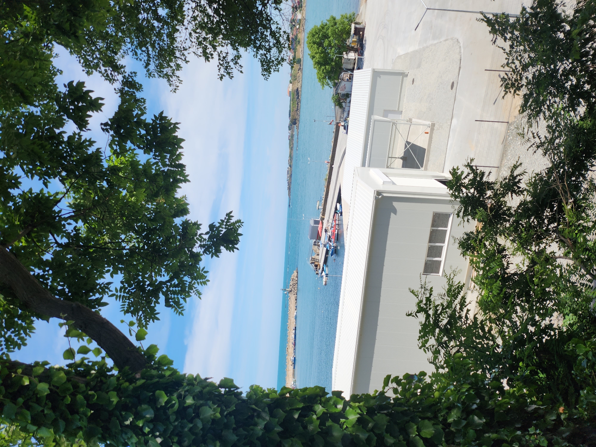 The image depicts a bright, sunny day in Tsarevo, Bulgaria, with a view of a harbor. The scene is framed by lush green foliage in the foreground and on the sides, suggesting a natural vantage point overlooking the water.
The main subjects include several buildings with white, corrugated metal siding, likely part of a modern industrial or commercial facility adjacent to the harbor. These structures have windows and some outdoor scaffolding. Beyond the buildings, a calm, blue sea stretches out, meeting a light blue sky with wispy clouds.
In the water, various boats are visible, moored near a long, concrete pier or breakwater. Some of these appear to be small fishing vessels or pleasure boats. A few people can be discerned near the boats and on the pier, though their details are not clear. The activity appears to be routine harbor operations and possibly leisure activities.
Notable details include the clear, bright lighting indicative of midday. The location cues point to a coastal area with maritime infrastructure. The overall mood is one of tranquility and summer activity. No legible text is visible in the image.