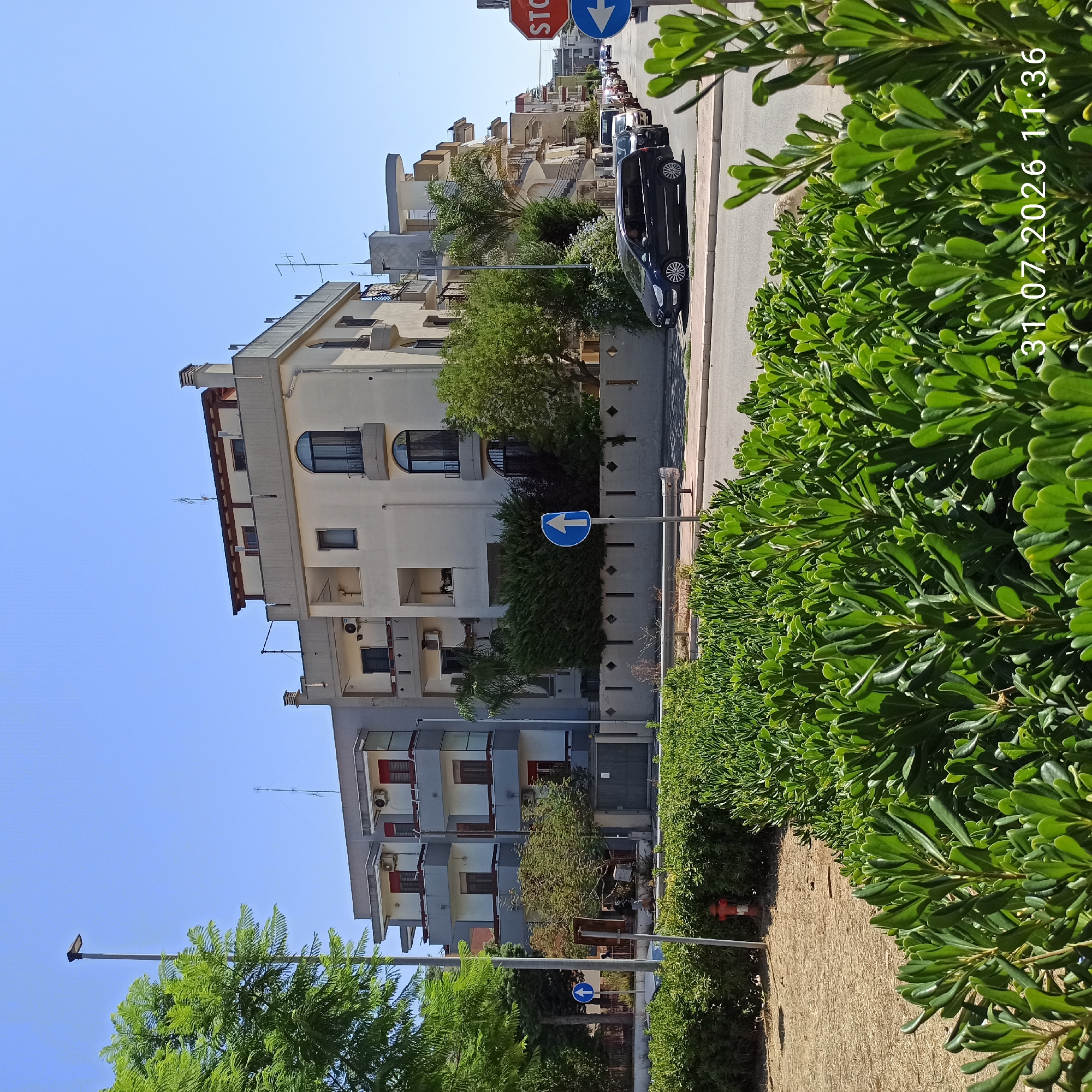The image depicts a street scene in Modugno, Italy, on a clear, sunny day. In the foreground, a well-maintained hedge of green leafy bushes lines the street. Behind the hedge, a road with a single lane is visible, with parked cars and a line of traffic heading away from the camera.
To the left, a tall lamppost stands against a bright blue sky. Further back, a multi-story apartment building complex is prominent. The buildings feature a mix of architectural styles, with balconies, arched windows, and light-colored facades. Several trees, including a large one with bright green foliage on the left, are scattered throughout the scene, providing shade. A blue traffic sign with a white arrow pointing upwards is positioned on the right side of the road.
On the right side of the image, a red "STOP" sign is visible, indicating a potential intersection or traffic control point. The overall environment suggests a residential or mixed-use urban area. The timestamp "31.07.2026 11:36" is superimposed on the lower right corner of the image.