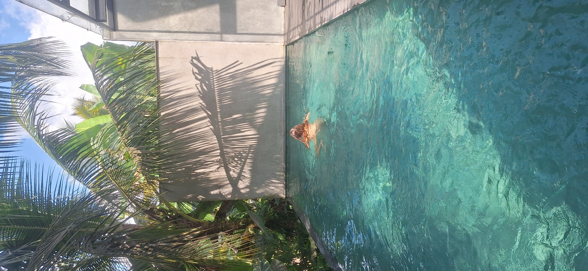 A person with blonde hair is swimming in a pool in Petang, Indonesia. The pool has clear, turquoise water and is surrounded by lush green palm trees and banana leaves. A concrete wall casts the shadow of palm fronds onto the water, creating a dappled light effect. The scene is serene and tropical, with a wooden deck visible on the right side of the pool.