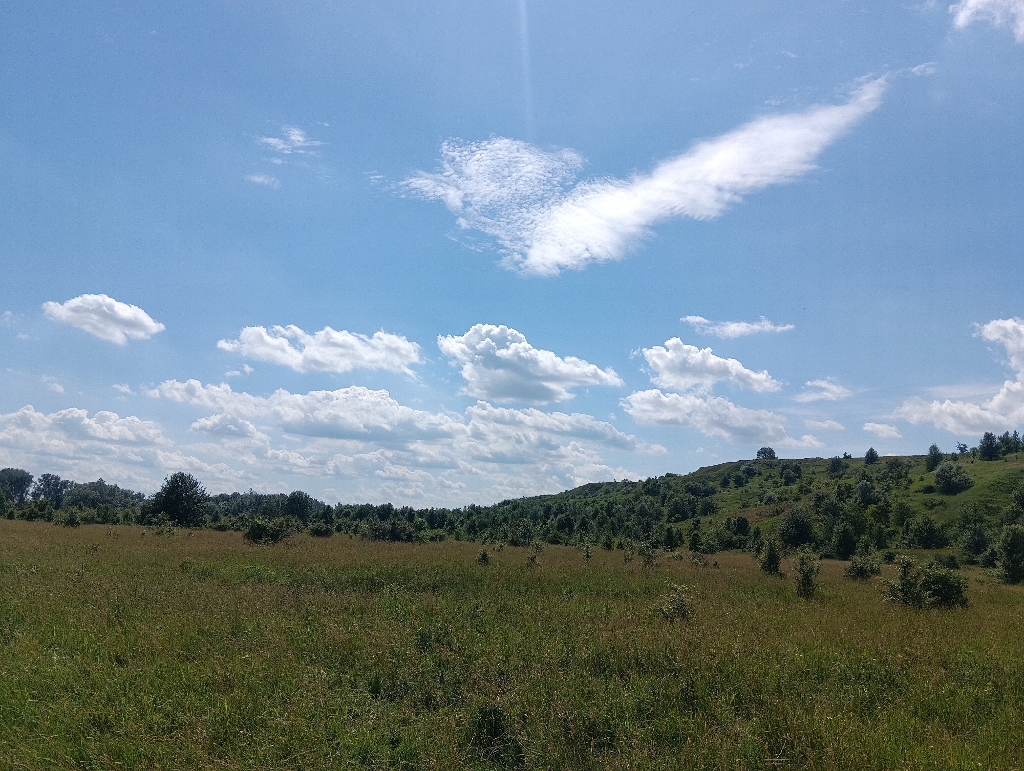 A wide-angle, horizontal, outdoor shot captures a pastoral landscape under a bright blue sky with scattered white clouds. The foreground is dominated by a field of tall, dry grass with patches of green. In the midground, a gentle, rolling hill is covered in lush green trees and bushes, with a few taller trees visible at the crest. The sky features various cloud formations, from wispy cirrus to fluffy cumulus clouds, with a noticeable streak of sunlight breaking through near the top center. The scene is devoid of any people or man-made structures, suggesting a natural, undeveloped environment.