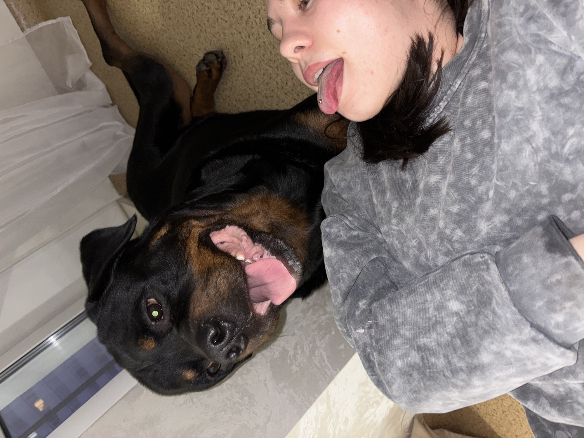 A close-up, high-angle photograph shows a young woman and a Rottweiler dog lying on the floor, likely indoors. The woman is positioned on the right side of the image, wearing a gray, tie-dye sweatshirt, with her face close to the camera. She has a pierced tongue. The Rottweiler is lying adjacent to her, with its head tilted upward and tongue protruding. The background features a light-colored floor, part of a window on the left, and a beige sofa cushion. The image does not provide information that allows to locate it in the city of Perm, Russia.