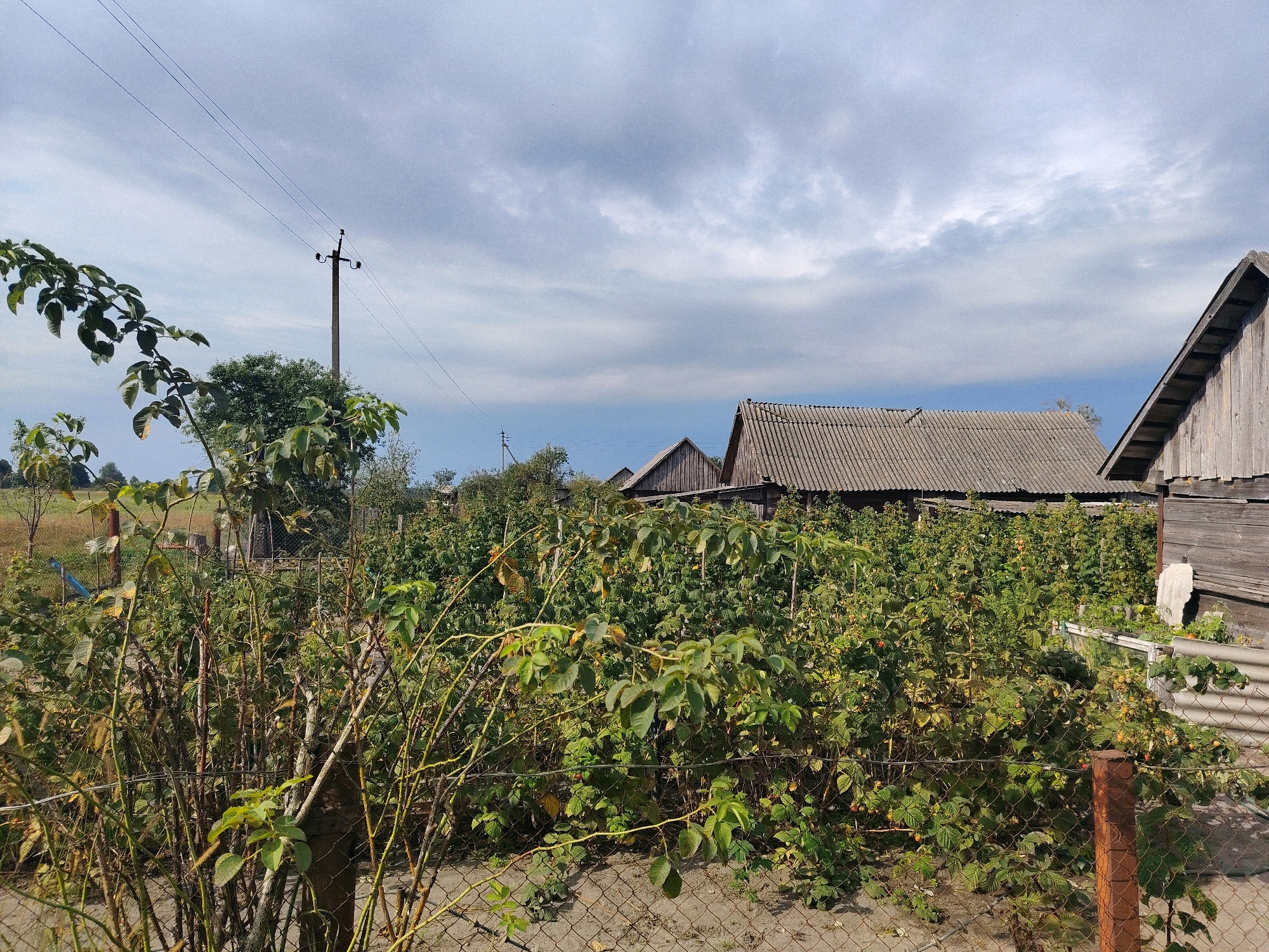 The image shows a rural scene with a cluster of buildings in the background, likely a small village or farmstead in Бродніцкі сельскі Савет, Belarus. The foreground is dominated by dense, leafy vegetation, possibly a garden or overgrown bushes, with a wire fence running across the lower portion of the frame. Several trees with green leaves are visible amongst the bushes. Behind the vegetation, the roofs of several buildings are visible. One building has a corrugated grey roof and appears to be older, constructed from wood. Another building to the right has a wooden facade and a sloped roof. The sky is cloudy, with a mix of blue sky and grey clouds. A utility pole with power lines is visible on the left side of the image. The overall impression is of a somewhat unkempt but functional rural environment. There are no people or animals visible in the image.