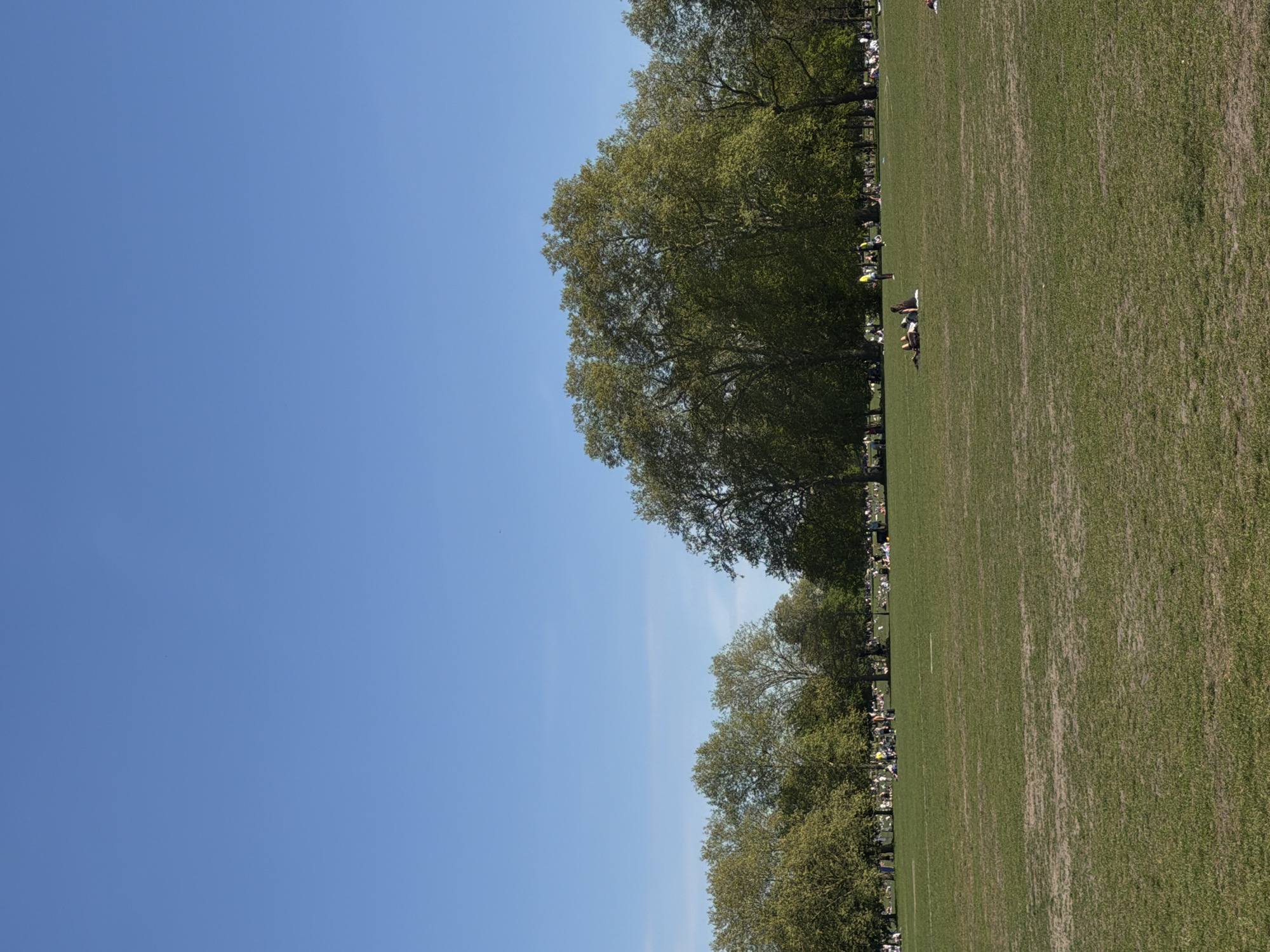 The image shows a sunny day in a park, likely in London, United Kingdom. A large expanse of green grass occupies the right side of the image, with some people sitting or lying on it. A row of trees lines the edge of the grass, separating it from a clear blue sky that fills the left side of the frame. People are seated on chairs beneath the trees. The perspective suggests the photograph was taken at ground level.