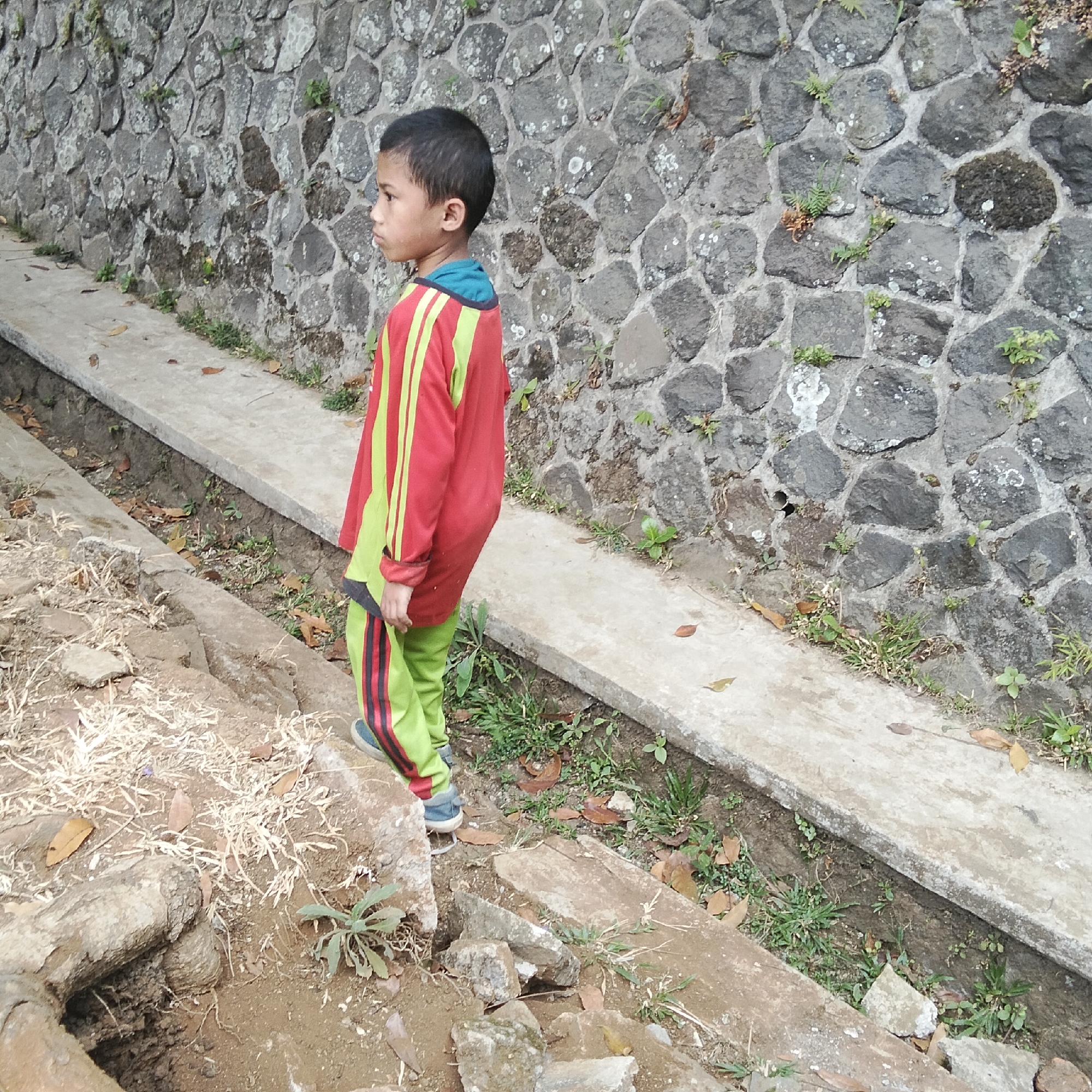 Memory