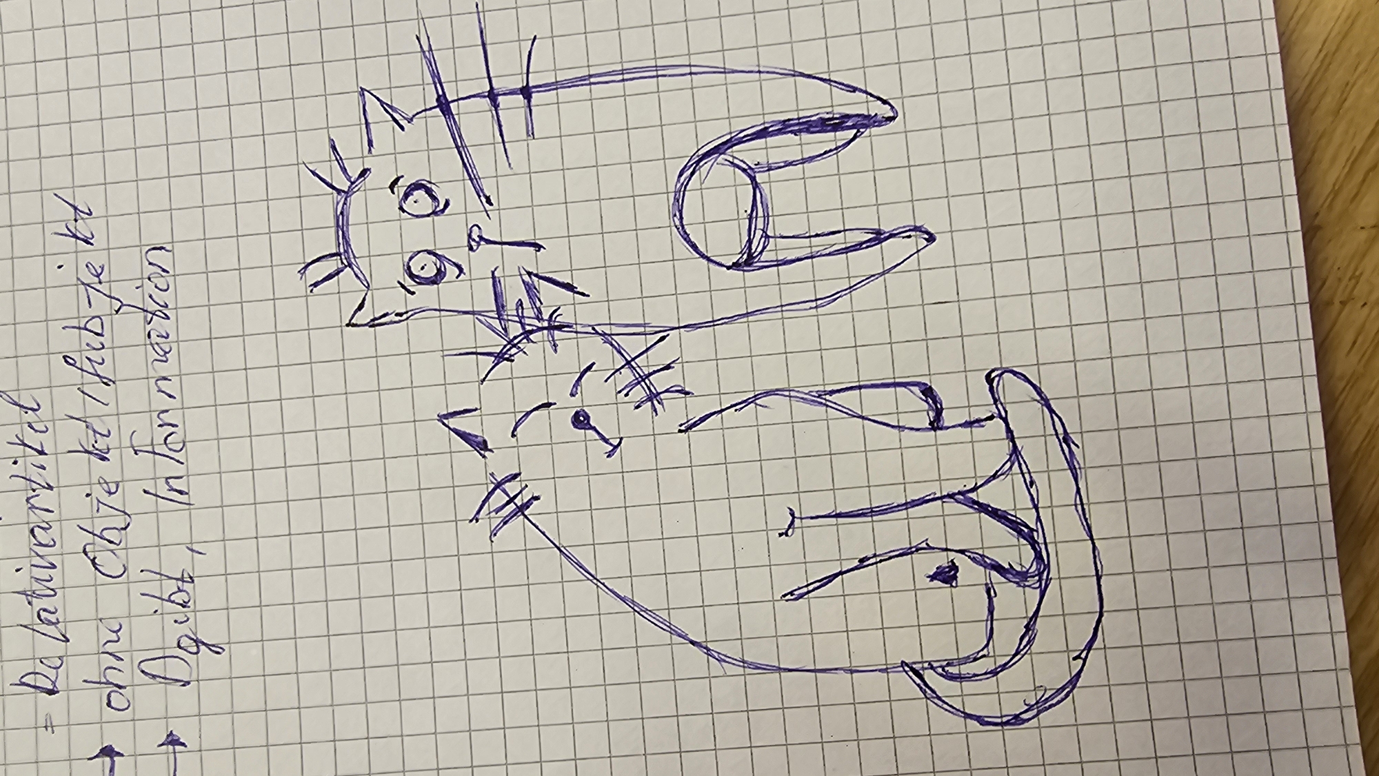 The image shows a handwritten note on squared paper, with a drawing of two cats. The note, written in purple ink, contains bullet points with German text. The first bullet point, preceded by a dash, reads "Relativartikel". The second bullet point, preceded by an arrow, says "ohne Objekt / Subjekt". The third bullet point, also with an arrow, reads "Gibt Information". Below the text is a simple drawing of two cats. The cat on the left is sitting, facing left, with its body and legs outlined. The cat on the right is also sitting, facing forward, with its body, legs, and a tail indicated. Both cats have exaggerated facial features with large eyes and ears. The drawing is also in purple ink. The background is a grid of light gray squares. The bottom of the image shows a wooden surface, possibly a table. There is no information in the image to suggest a location in Artern, Germany.
