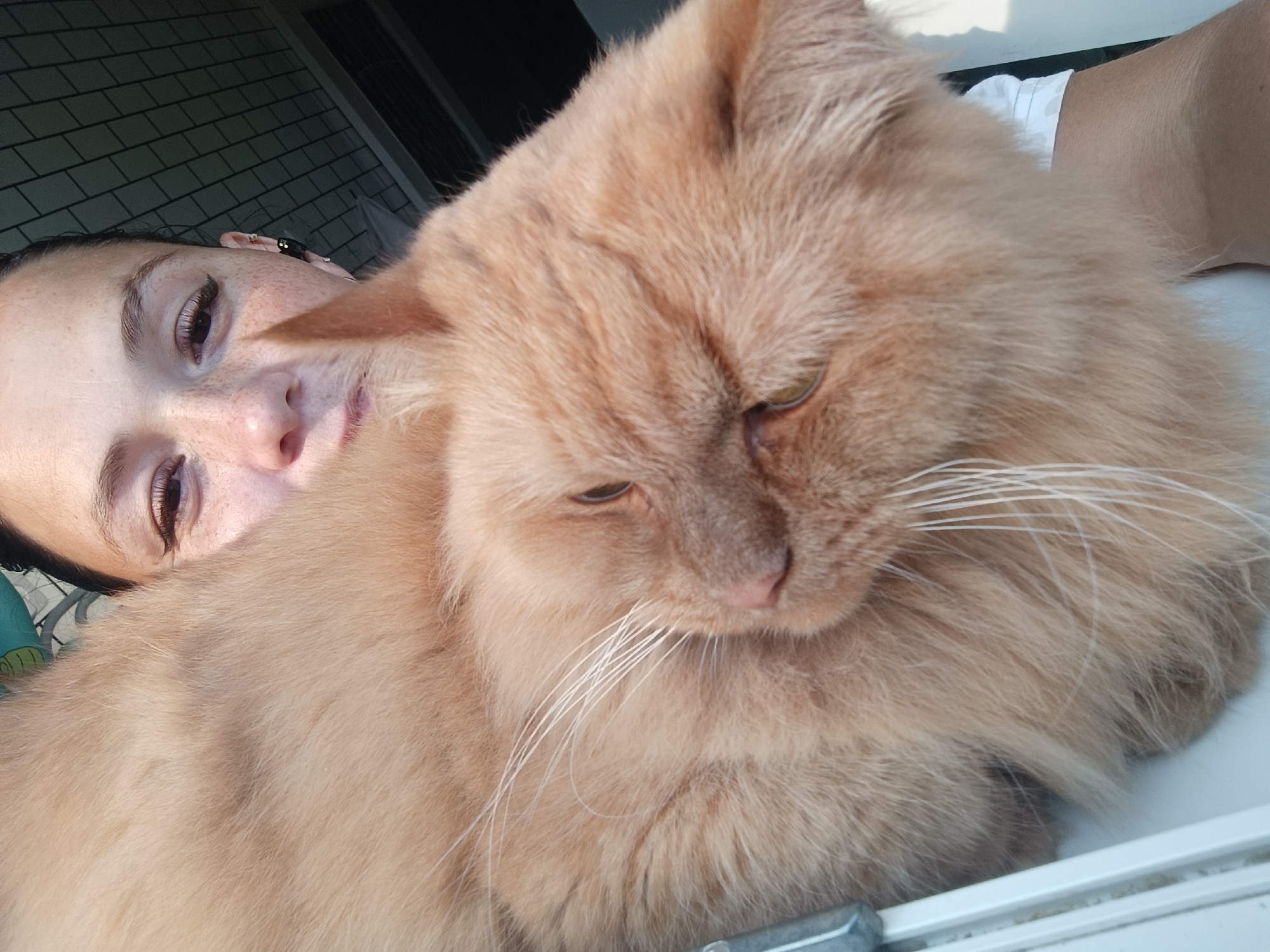 An outdoor selfie shows a person's face and an orange cat. The person, whose face is partially obscured by the cat, has freckles and is wearing earrings. The cat, with fluffy orange fur, is nuzzling against the person. The background includes a brick wall and a white surface, possibly a windowsill or balcony railing. The scene suggests a casual, relaxed moment between the person and their pet. The image was taken in the city of Chaikovsky, Russia.