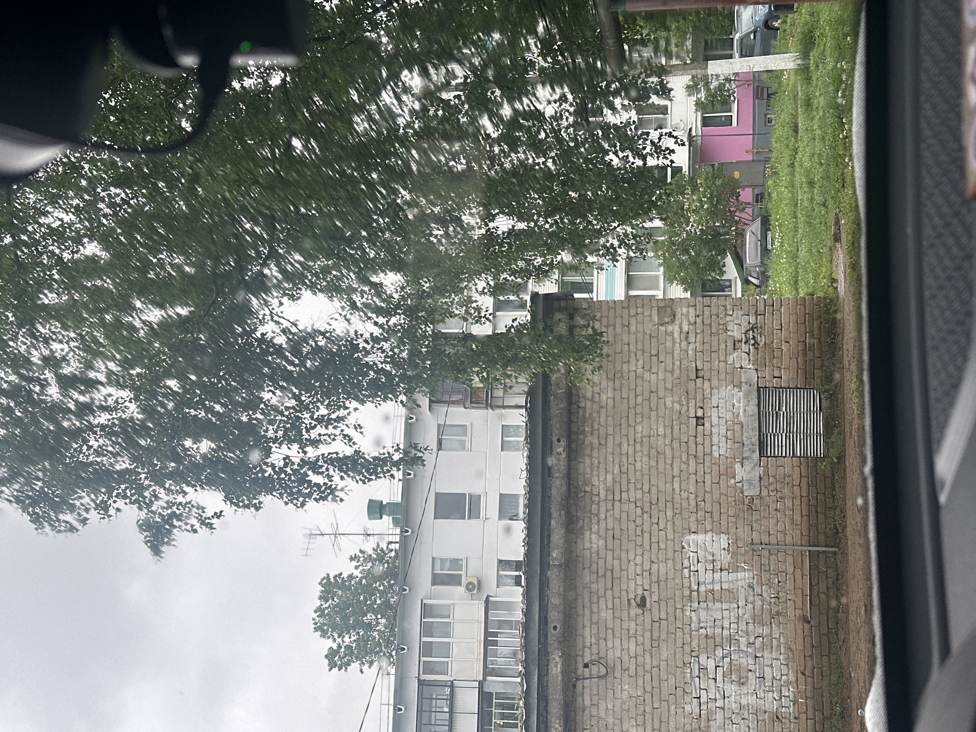The image, taken from inside a vehicle, presents an urban landscape. A brick wall stands prominently to the right of the frame, with a metal grate embedded in its surface. Adjacent to the wall, a multi-story building with white siding and multiple windows rises, adorned with an antenna on its roof. In the distance, another building with pink and white sections is visible, set against a backdrop of lush green grass. The scene is partially obscured by the foliage of a large tree, creating a dappled light effect. The location is within an unidentified urban environment.