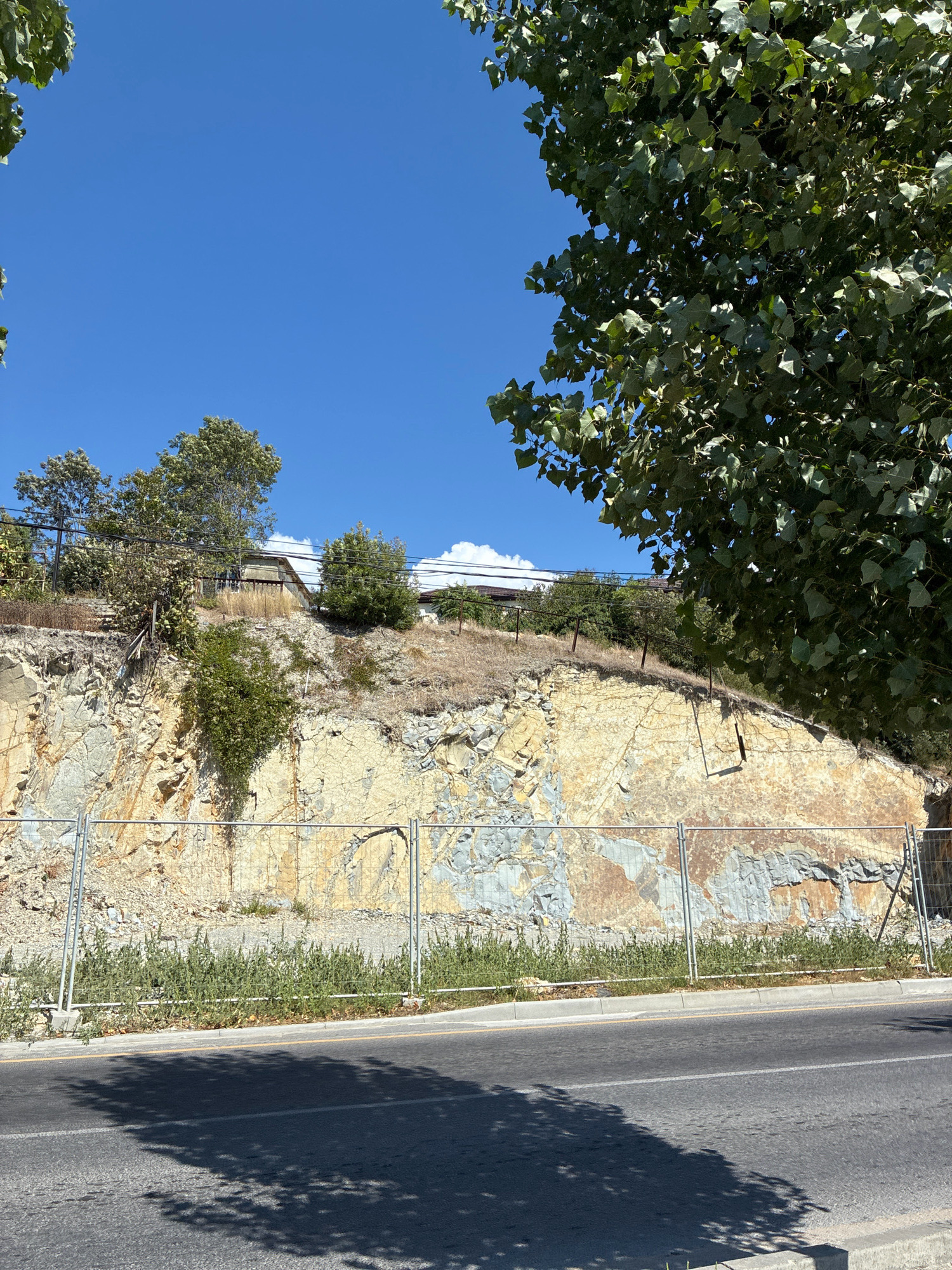 An outdoor, eye-level, medium shot captures a roadside view of a steep, excavated rock face in Abrau-Dyurso, Russia, under a clear blue sky. A chain-link fence runs horizontally across the lower portion of the rock face, separating it from a strip of green vegetation and a paved road. The rock face is layered with varying shades of beige, tan, and gray, showing signs of erosion and dislodged stones. Sparse vegetation grows from crevices in the rock. Above the rock face, a cluster of trees and some low-lying buildings are visible on the crest of the hill. The foliage of a large tree with green leaves overhangs the upper right corner of the image, casting shadows on the road below. The road itself is asphalt with faint white lines marking its lanes and a yellow dividing line. There are no people or animals visible in the scene.