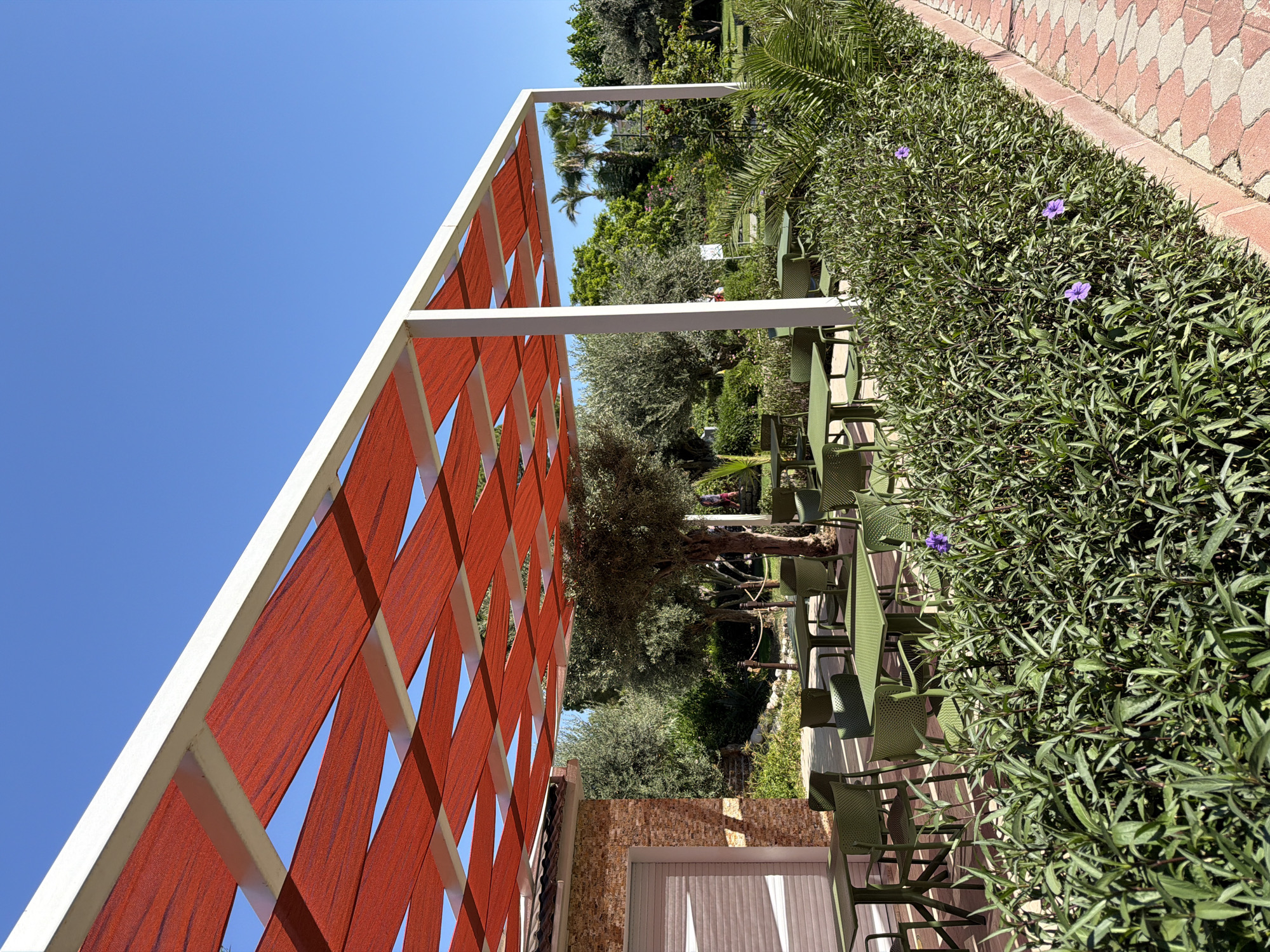 The image depicts an outdoor seating area, likely at a cafe or restaurant, under a white pergola with a red fabric sunshade. The pergola is supported by white columns. In the foreground, there is a low hedge with some small purple flowers. Behind the hedge, green metal tables and chairs are arranged on a wooden deck. A stone building with a rolled-down shutter is visible to the left. The background features lush green trees, including olive trees and palm trees, under a clear blue sky. A paved walkway with a red and white interlocking pattern runs along the right edge of the scene. The overall impression is that of a pleasant, sunny day in a resort-like setting, likely in Kemer, Turkey, given the Mediterranean vegetation and architecture. There are no people clearly visible in the image.