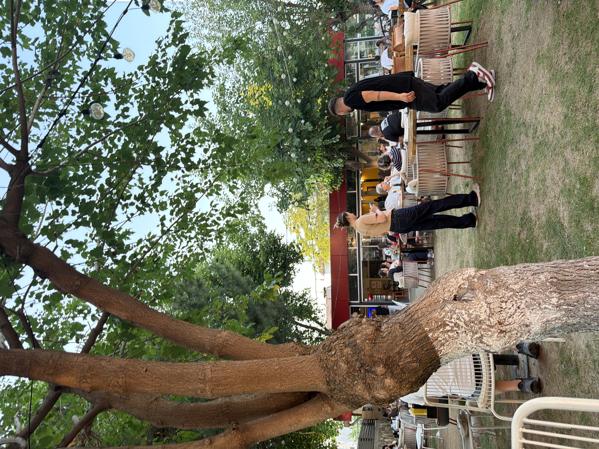 This is a full-frame, eye-level, outdoor shot of a restaurant patio in Yunus Emre, Turkey. In the foreground, the thick, textured trunk of a large tree, partially whitewashed at its base, dominates the left side of the frame. Its branches extend upwards and are covered in green leaves, some of which are backlit by the sky. String lights with visible bulbs are strung across the branches.
The middle ground reveals a restaurant setting. Several tables are set up on a grassy area, with chairs made of woven material and metal frames. People are seated at some of these tables, engaged in dining and conversation. Two individuals are prominent: on the left, a person in a tan shirt and dark pants stands looking at their phone; on the right, a person in a black t-shirt and black pants walks away from the camera, wearing red and white sneakers. A building with a red awning and large glass windows, indicating it's the restaurant interior, is visible in the background.
The background consists of more trees and the sky, which is a pale blue. The overall atmosphere suggests a casual dining experience in a pleasant outdoor environment.