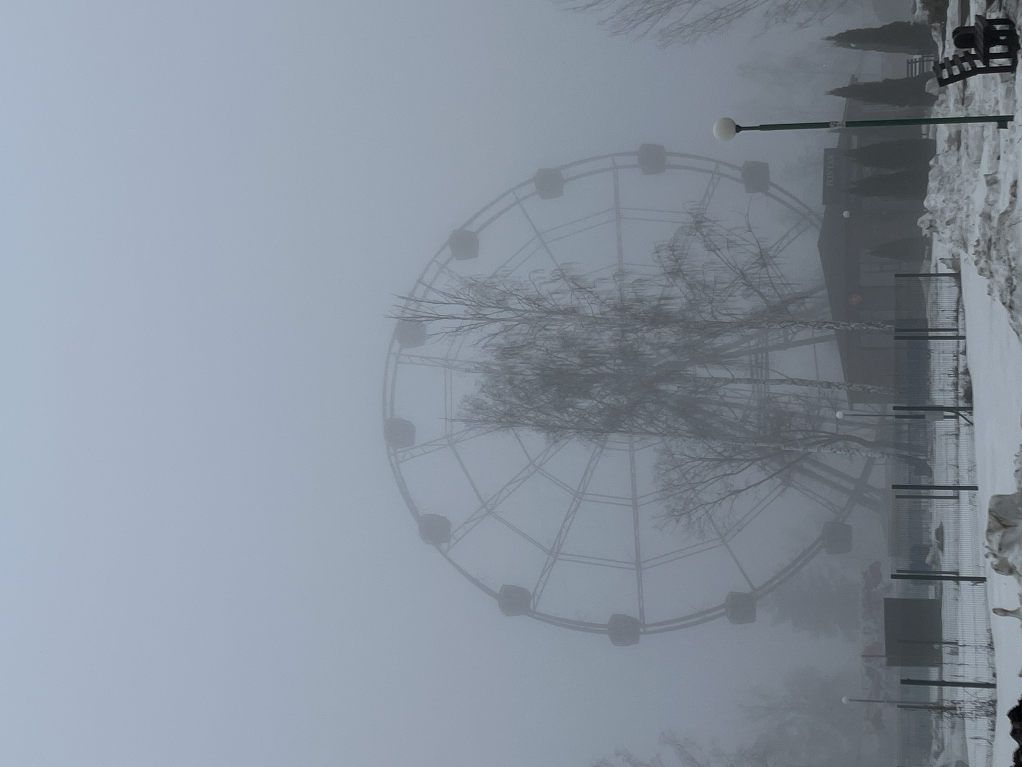 The image depicts a foggy scene in Neftekamsk, Russia, featuring a Ferris wheel. The large Ferris wheel is only partially visible through the heavy fog. Bare trees stand in front of it. To the right, there's a snow-covered ground with fence posts. Also visible are a lamp post and a building partially obscured by the fog.