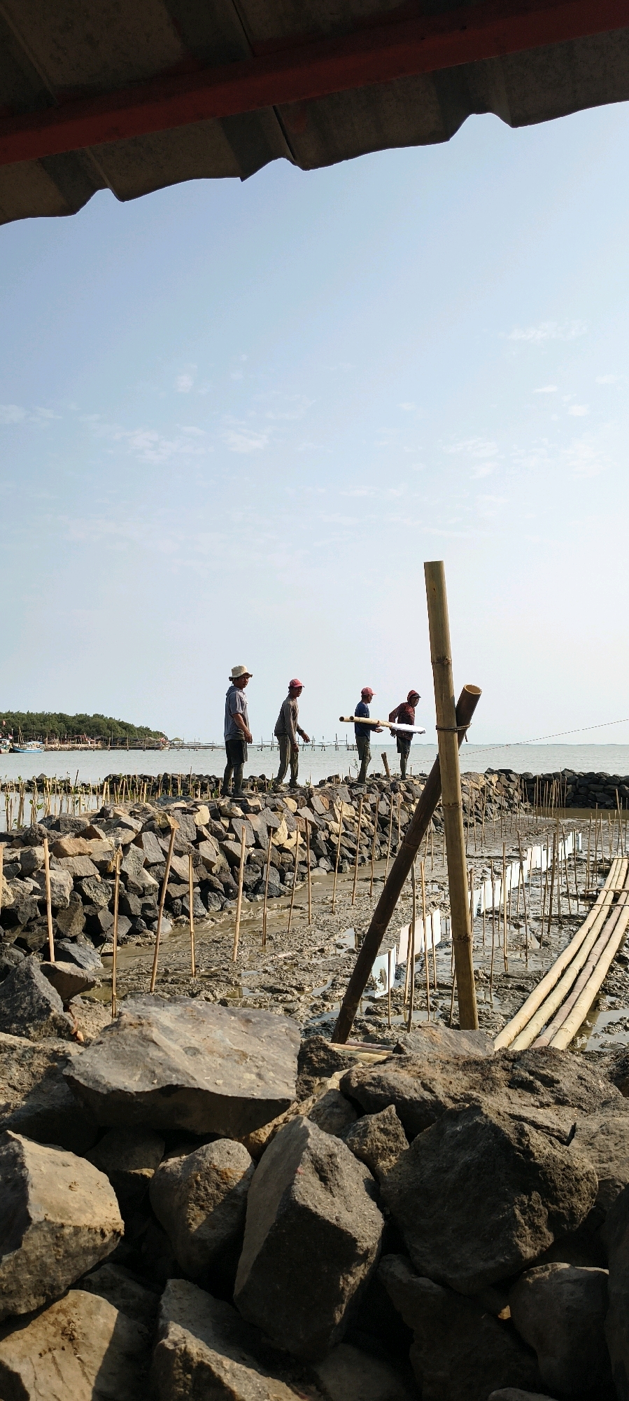 In Gebang, Indonesia, four individuals are engaged in what appears to be the construction of a sea wall or similar coastal infrastructure. The scene is set on a muddy, rocky terrain adjacent to the sea, under a clear sky. The men are dressed in casual clothing and hats, suggesting outdoor labor. One man, standing slightly apart from the others, is wearing a light-colored hat and a dark shirt. Three other men are positioned in a line further down the embankment. The second man from the left is wearing a red cap and a dark shirt. The third man is also wearing a red cap and a dark shirt and appears to be holding a blueprint or document. The fourth man, furthest to the right, wears a red cap and a dark shirt. They are surrounded by piles of large rocks and numerous wooden stakes driven into the muddy ground. Several bamboo poles are also visible, some forming part of the structure and others lying on the ground. In the background, the ocean stretches to the horizon, with a distant coastline dotted with trees and small structures. The foreground is dominated by large, rough rocks, casting shadows in the sunlight. The overall impression is one of manual labor and ongoing construction work in a coastal environment.