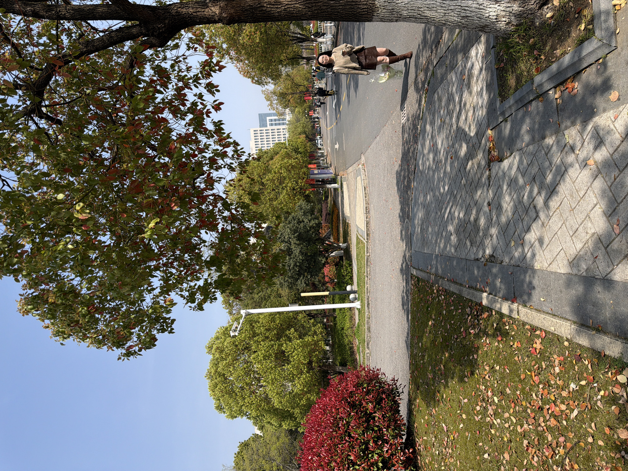 A street scene in Jiangning District, China, shows a woman walking on the right side of the road. The woman has long, dark hair and is wearing a light-colored sweater, a brown skirt, and brown boots. She is carrying a clear plastic bag. The road is paved and has a light gray color. On the left side of the road, there is a tree with green and red leaves. Beyond the tree, there is a sidewalk and a grassy area with red bushes and a streetlight. In the background, there are other trees, buildings, and people walking. The sky is clear and blue. The image appears to have been taken during the daytime.