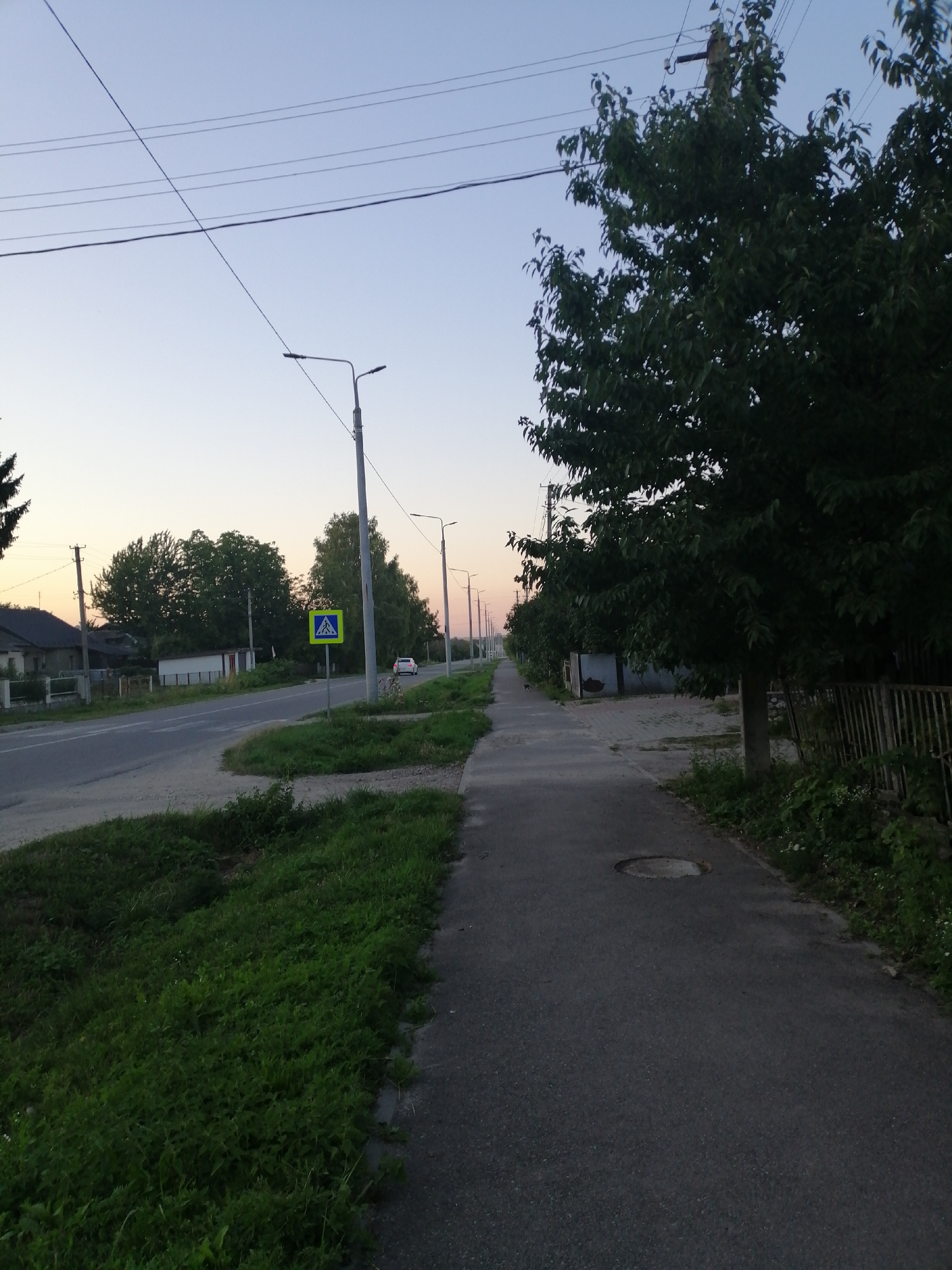 The image depicts a street scene in Lanivtsi, Ukraine, during what appears to be either early morning or late evening, judging by the soft, diffused light. A paved road runs diagonally from the lower left to the upper right of the frame. To the left of the road is a grassy verge with tall weeds. Across the road, residential buildings and fences are visible, interspersed with trees. A pedestrian crossing sign, a yellow square with a blue border and a white pedestrian symbol, is prominently displayed on the right side of the road. Streetlights are visible along the roadside, lining the street into the distance. A white car is driving away from the camera on the right side of the road. On the right side of the frame, a paved sidewalk runs parallel to the road, bordered by a dense area of green foliage and trees. Overhead, power lines crisscross the sky. The overall impression is a quiet, somewhat rural street on the outskirts of the city.