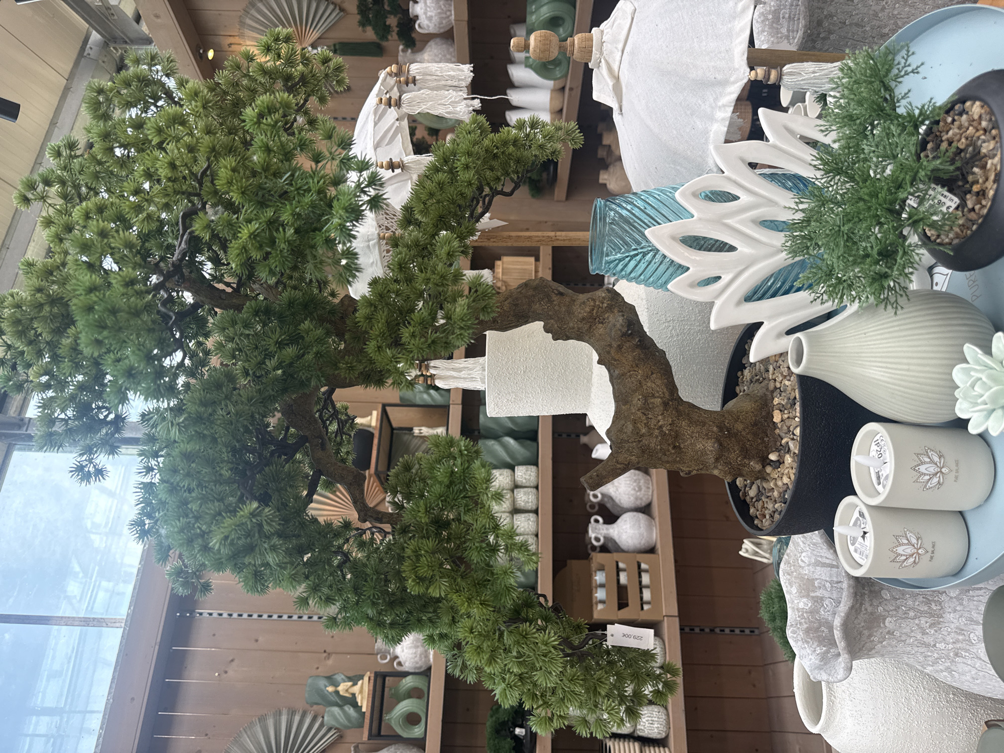 The image shows a well-lit indoor space, likely a retail store, with a prominent artificial bonsai tree as the central subject. The bonsai, with its twisted trunk and lush green foliage, is potted in a dark circular container filled with pebbles. Surrounding the bonsai, various decorative items are displayed on shelves and tables.
To the left of the bonsai, a large textured white vase stands beside a textured gray vase with a ruffled rim. In front of these, on a light blue tray, are two cylindrical candles featuring lotus flower designs and the text "PURE BALANCE." To the right of the bonsai, a teal glass vase with a ribbed texture is visible, along with a white lotus-shaped decorative piece. Further to the right, a white decorative umbrella with tassels and wooden accents is displayed.
The background reveals shelves stocked with an assortment of decorative vases and objects in muted tones of green, white, and gray. Some shelves also display fans and other ornamental items. The overall impression is a curated display of home decor items. The presence of a price tag on the bonsai with "229.00€" suggests it is for sale. The lighting and materials suggest an indoor greenhouse or a home decor store. Based on the information provided, this scene is located in Fritzlar, Germany.