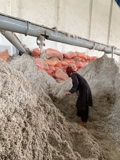 The image shows a person standing on a large pile of what appears to be raw cotton fiber inside a factory or processing plant. The person, dressed in dark clothing, is barefoot. Above the pile of fiber is a conveyor system from which more fiber is being deposited. Behind the fiber pile are numerous orange-colored bags, presumably filled with more processed cotton. The scene is located inside a large, industrial-looking building. The location is specified as the city of Shurandam, Afghanistan.