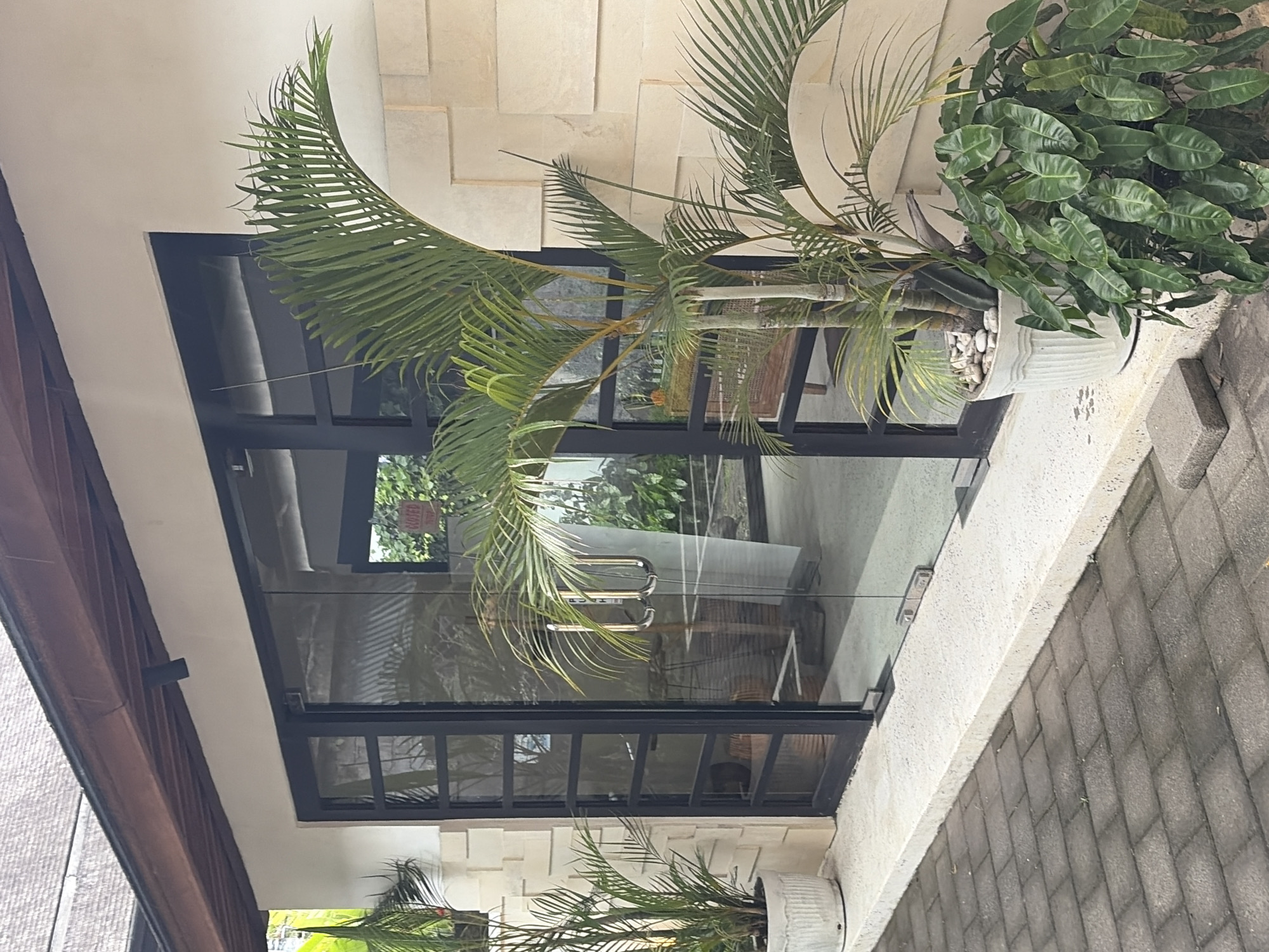 The image shows the exterior of a building with a glass door and wall, located in the Ubud District, Indonesia. The building has a light-colored facade with rectangular stone tiles and a wooden roof overhang. In front of the building, there are two potted plants, one a tall palm with broad leaves and the other a smaller plant with heart-shaped leaves. The ground in front of the building is paved with grey rectangular bricks. The glass door has two large, silver-colored handles. Through the glass, the interior of the building is partially visible, showing some furniture and greenery. A red sign with white lettering, possibly indicating a business closure, is visible on the glass door. The lighting suggests it is daytime.