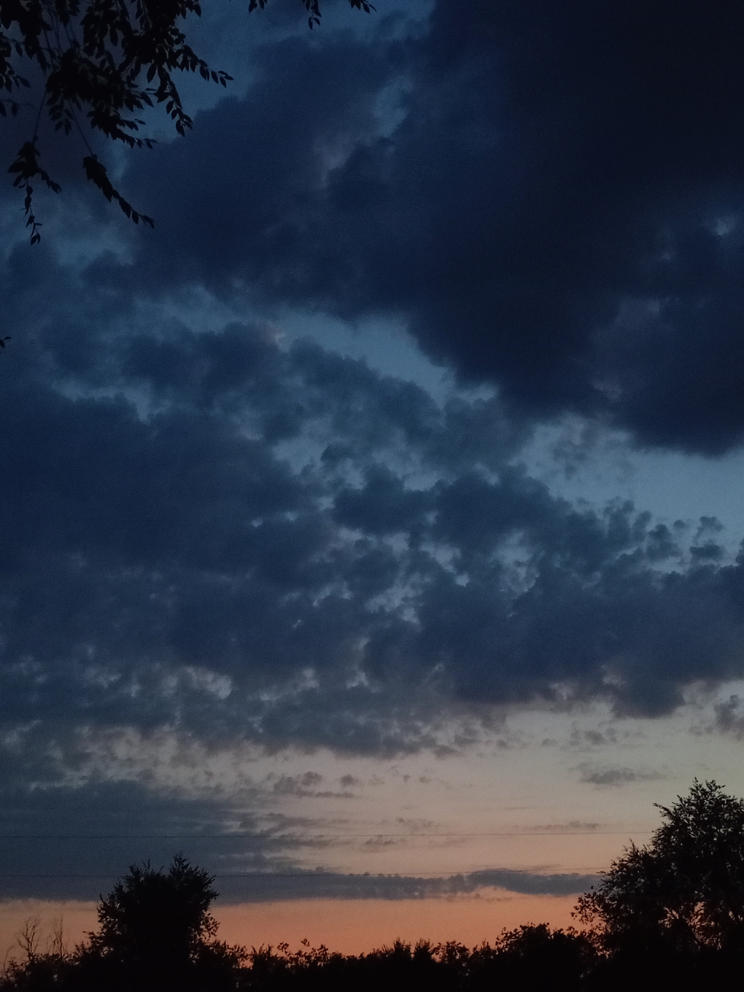 The image captures a twilight sky above Baurci, Moldova. The sky is filled with a gradient of dark blues and grays, transitioning to lighter tones near the horizon where a faint orange hue suggests the last rays of the setting sun. Dark, silhouetted trees and foliage form a line across the bottom of the frame, with a few branches and leaves visible against the sky in the upper left corner. Power lines are also faintly discernible against the sky. There are no people or active events depicted in the scene. The atmosphere appears calm and still, typical of the evening transition.