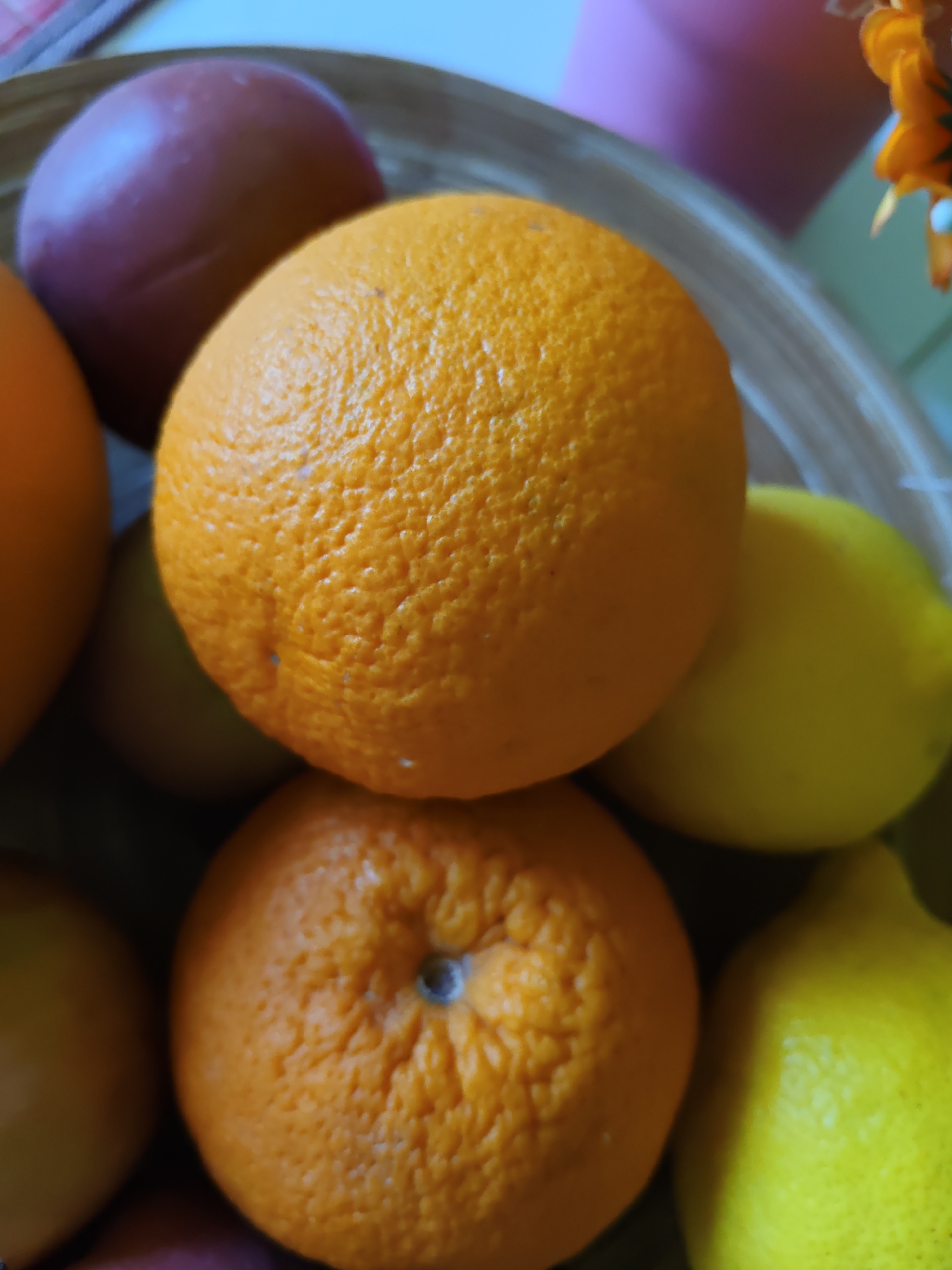This image is a close-up, overhead shot of a fruit bowl containing several oranges and lemons, along with what appears to be a plum or a similar dark-colored fruit. One large orange is prominently displayed in the center of the frame, with its textured rind facing the viewer. Below it, another orange is partially visible. To the right of the central orange, two bright yellow lemons are nestled. A dark purple fruit is visible in the upper left corner of the image. The fruits are arranged in a shallow bowl, with the edges of the bowl visible as a light-colored, curved rim. The background is blurred, suggesting an indoor setting, possibly a kitchen counter or table. There is no indication of the city of Rostov-on-Don, Russia, or any people in the image.