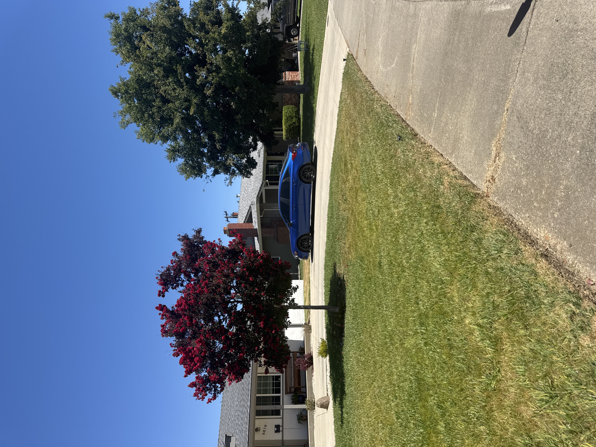 The image depicts a residential street scene on a clear, sunny day in Citrus Heights, California. In the foreground, a concrete sidewalk runs diagonally from the bottom right corner. To its left is a well-maintained green lawn, with some areas showing signs of browning.
Dominating the middle ground is a vibrant red-leafed tree with dark red foliage, standing in front of a single-story house with a gray roof and white exterior. The house has a numbered address, "6819," displayed near the entrance. A wooden bench is visible on the porch. A blue sedan is parked in the driveway in front of the house.
To the right of the red-leafed tree is a larger, mature green tree with dense foliage. Behind this tree, another house is partially visible, with a brick chimney. A dark-colored SUV is parked further down the driveway of this second house.
The sky is a clear, cloudless blue. The overall environment suggests a suburban neighborhood with well-kept properties.