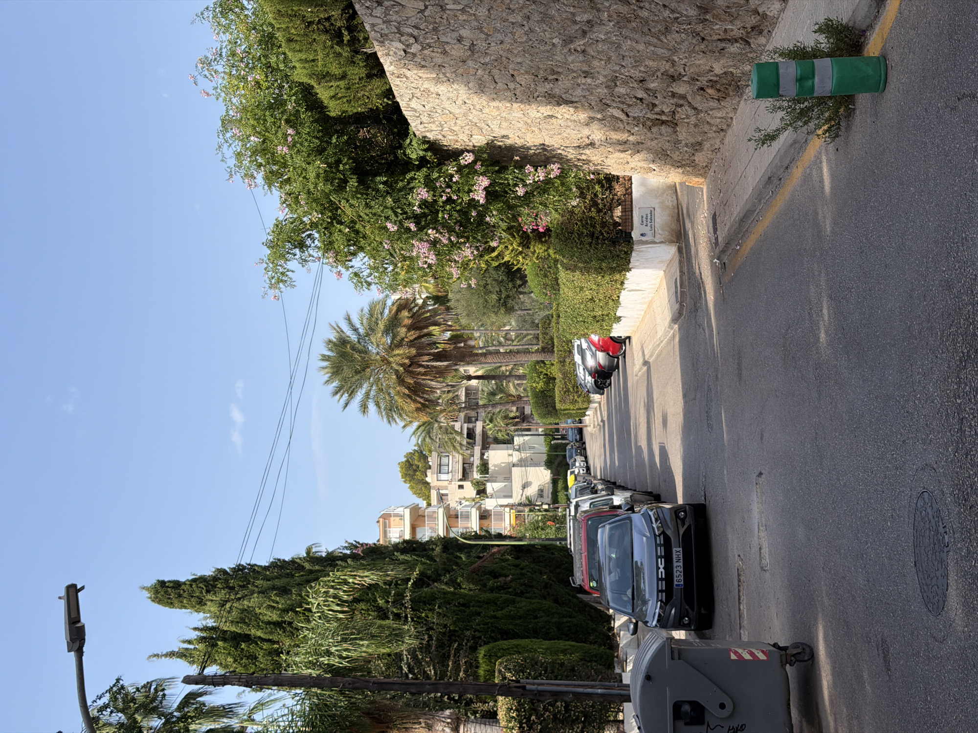 The image shows a street in Palmanova, Spain, lined with parked cars and lush vegetation. On the left, a large gray dumpster is visible. The street is paved and appears to be in a residential or commercial area, with buildings visible in the background. Tall trees and flowering bushes line the street, creating a shaded and green environment. The sky is clear and blue, indicating a sunny day. The cars are parked neatly along the side of the road. A stone wall is prominent on the right side of the image, covered in ivy and other plants. A street sign reads "Carrer Aralsdoc Luis Salvador". A green traffic cone with reflective bands stands on the right edge of the road.