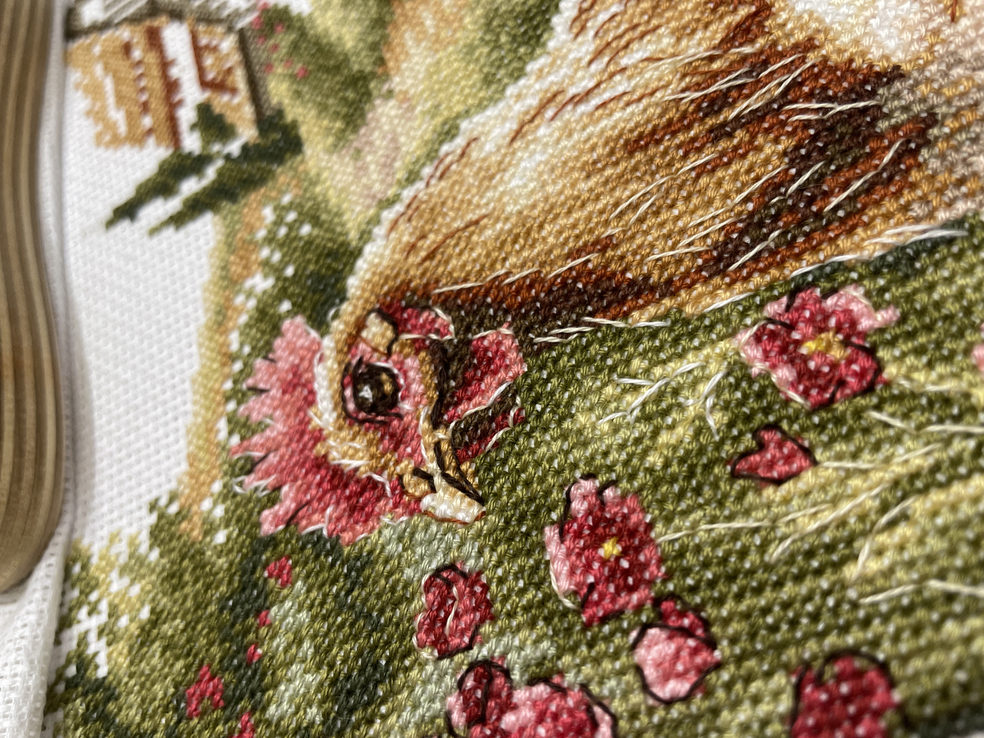 The image is a close-up, macro photograph of a cross-stitch embroidery. The embroidery depicts a hen in a garden setting. The hen is rendered in shades of brown, gold, and white, with a red comb and wattle. It is surrounded by lush green foliage and small red flowers. In the background, a building with a thatched roof and trees can be seen. The embroidery is done on white Aida cloth, and some of the stitches are visible, giving the image a textured appearance. The wooden hoop of the embroidery frame is visible at the top of the image. The lighting is bright and natural, highlighting the details and colors of the embroidery. The image does not contain any information about the city of Birobidzhan, Russia.