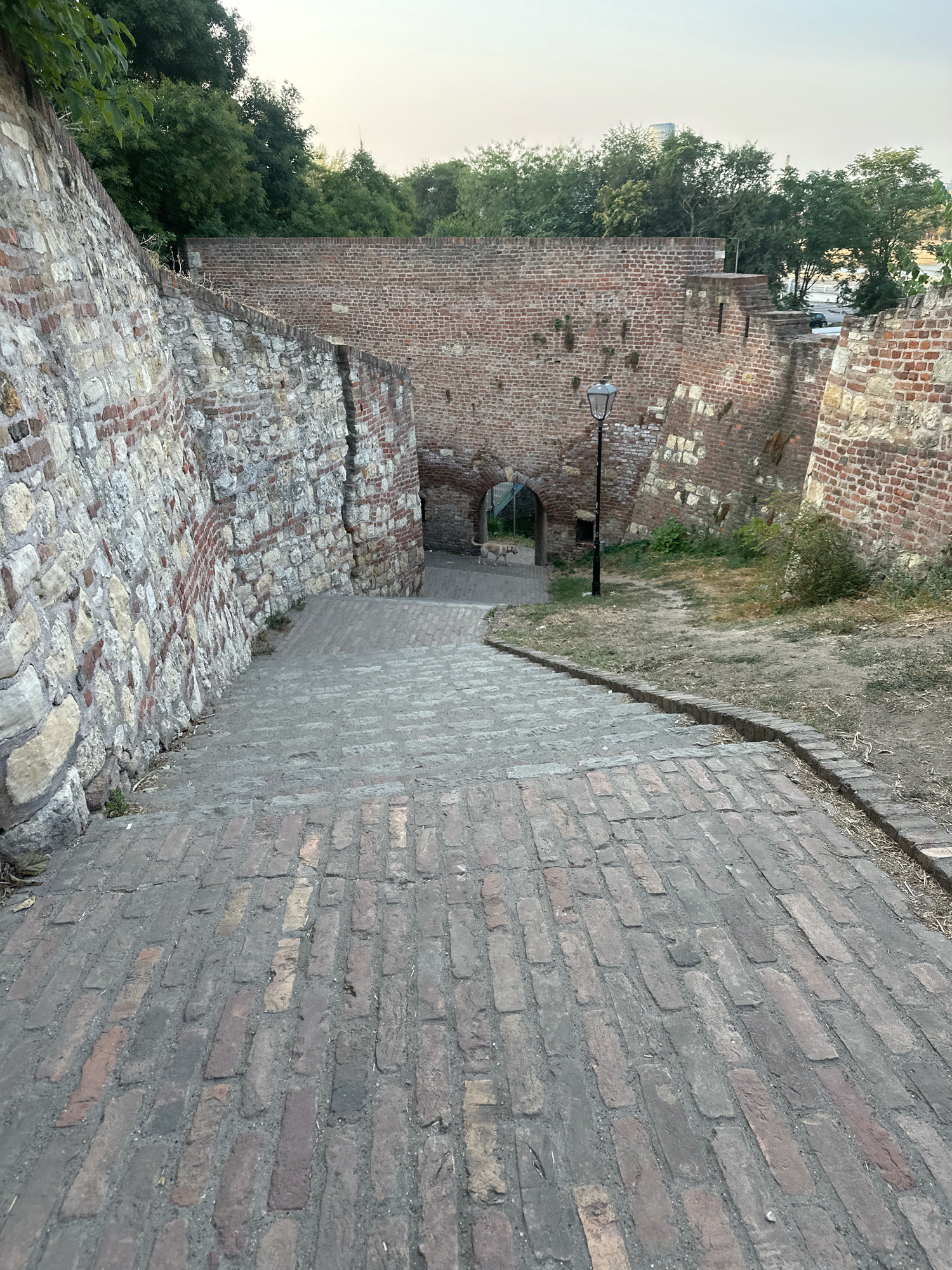 The image depicts an outdoor scene at the Belgrade Fortress in Belgrade, Serbia, featuring a wide, descending staircase paved with bricks. The staircase is flanked on the left by a tall, weathered stone wall, and on the right by brick fortifications. In the background, an arched gateway is visible, leading into a darker area. A single vintage-style lamppost stands to the right of the pathway. Beyond the fortress walls, trees and a pale sky can be seen. A light-colored dog is walking through the arched gateway. The overall lighting suggests it is late afternoon or early evening.