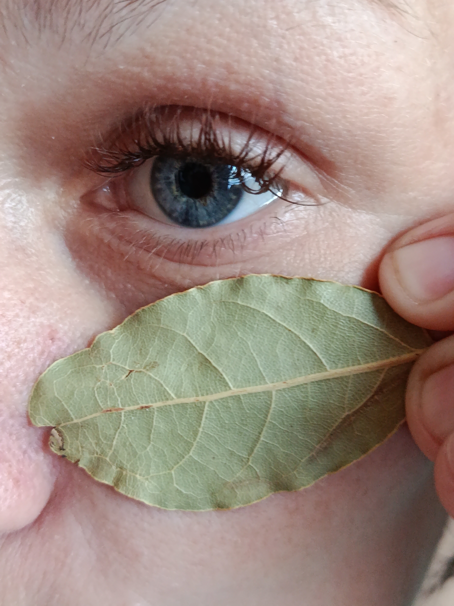 A close-up shot depicts a human eye with blue iris, surrounded by fair skin, and a bay leaf partially covering the nose. Details include visible eyelashes and wrinkles around the eye. A hand holds the leaf in place. The location in the city of Фоки, Russia is not determined by the image.