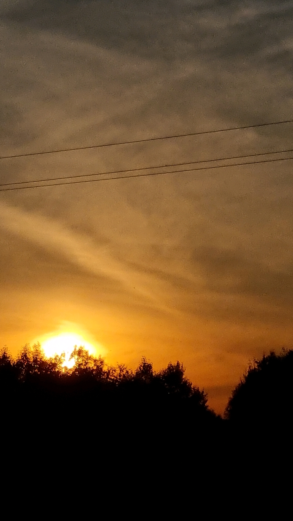 A vertical, slightly grainy, low-light photograph captures a sunset over a silhouetted treeline. The sky transitions from a dark, overcast gray at the top to a bright, fiery orange near the horizon, with wispy clouds streaking across the upper half. Three thin, dark power lines stretch horizontally across the sky, bisecting the upper portion of the image. The lower half of the image is dominated by the dark, jagged silhouette of a dense forest, with the bright sun peeking through the tops of the trees on the left side. The scene is devoid of any visible people or animals. The location is the city of Vysokoe, Russia.