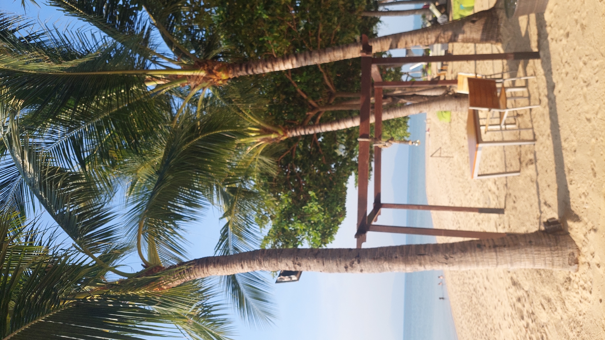 The image depicts a beach scene in Baan Bo Phut, Thailand. Palm trees with green fronds dominate the left side of the frame, contrasting with the clear blue sky. A wooden structure, possibly part of a beach bar or relaxation area, is visible. Next to the structure is a table with two chairs. The sand is light in color, and the water is a pale blue in the distance. In the water, a person is standing at a distance. The overall composition suggests a tranquil beach setting.
