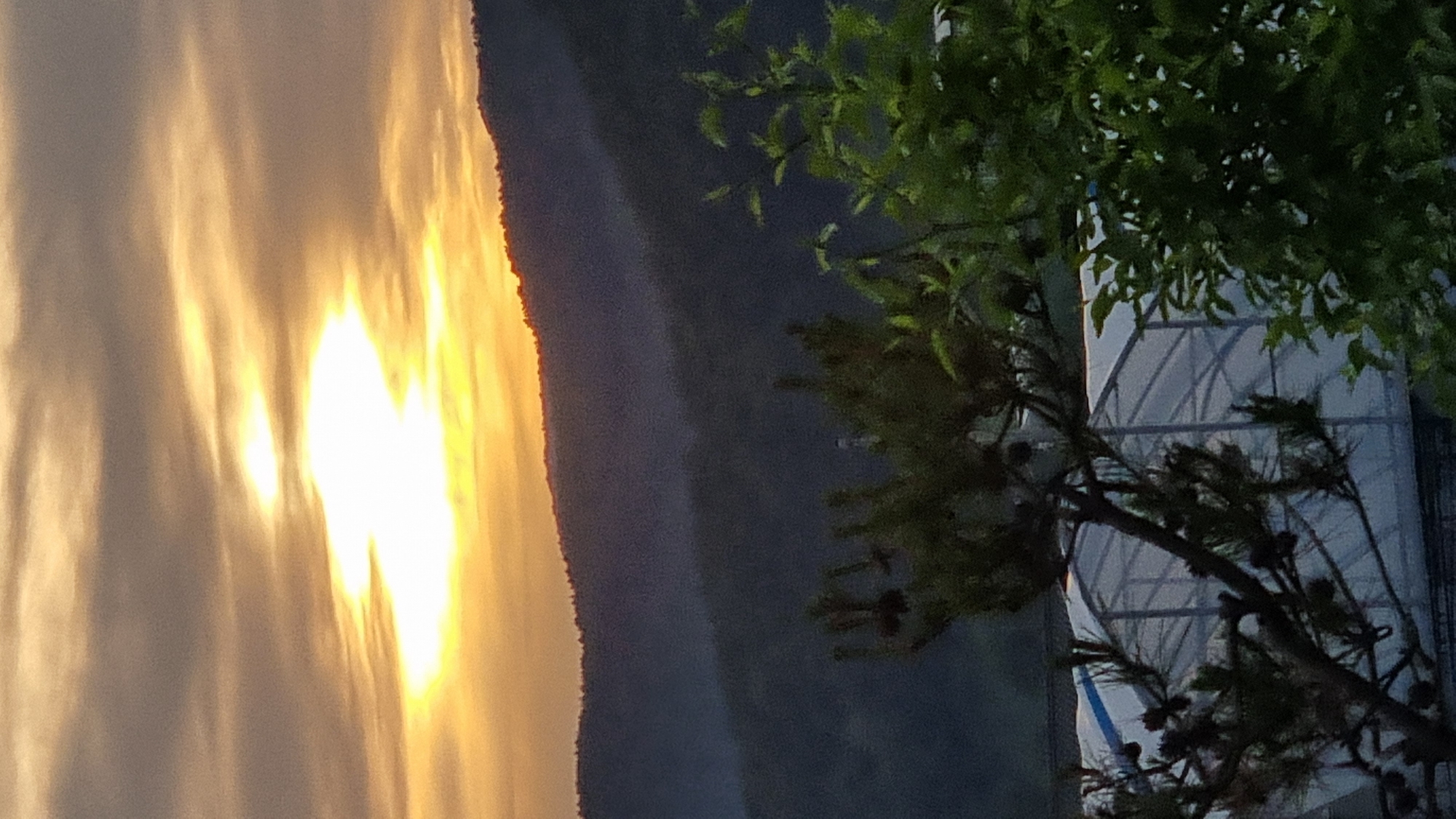 The image, taken in Dunnae-myeon, South Korea, shows a sunset or sunrise with a bright, golden light reflecting off clouds. To the right of the frame are trees with green leaves and pine branches. Behind the trees is a structure that appears to be a greenhouse or building with a translucent roof and support beams. A mountain ridge is visible silhouetted against the sky. The image has been rotated.