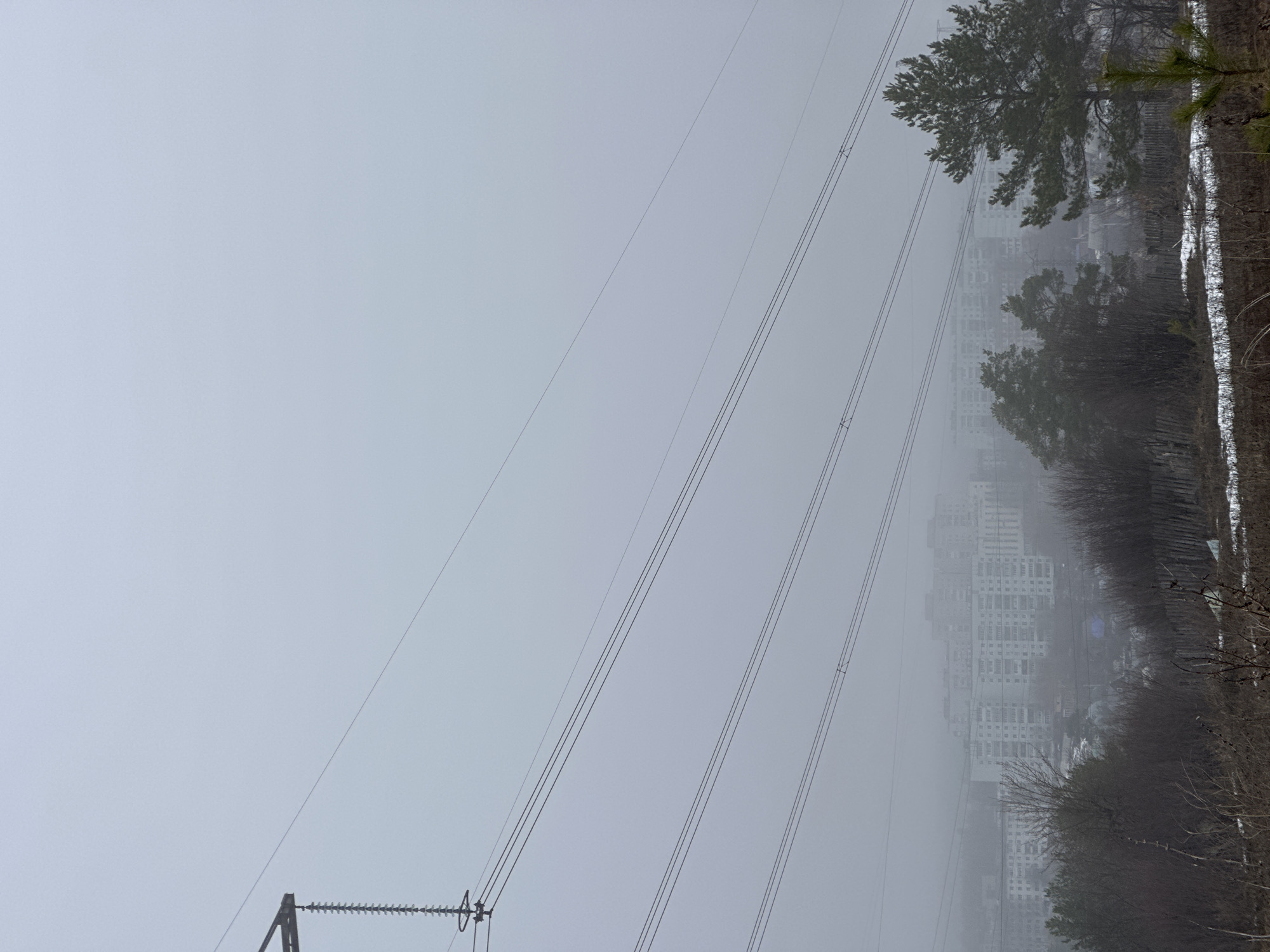 The image presents a landscape dominated by overcast skies and power lines, likely within or near the city of Chaikovsky, Russia. In the background, a cluster of apartment buildings is partially obscured by fog or haze, indicating a possible urban setting. The right side of the image features a line of trees and sparse vegetation, suggesting a transition from urban to natural areas. A dusting of snow is visible along the edge of the frame, pointing to a cold weather environment. The power lines are suspended by a support structure in the lower left corner, emphasizing the presence of infrastructure in the scene. The overall composition evokes a sense of muted color and atmosphere.