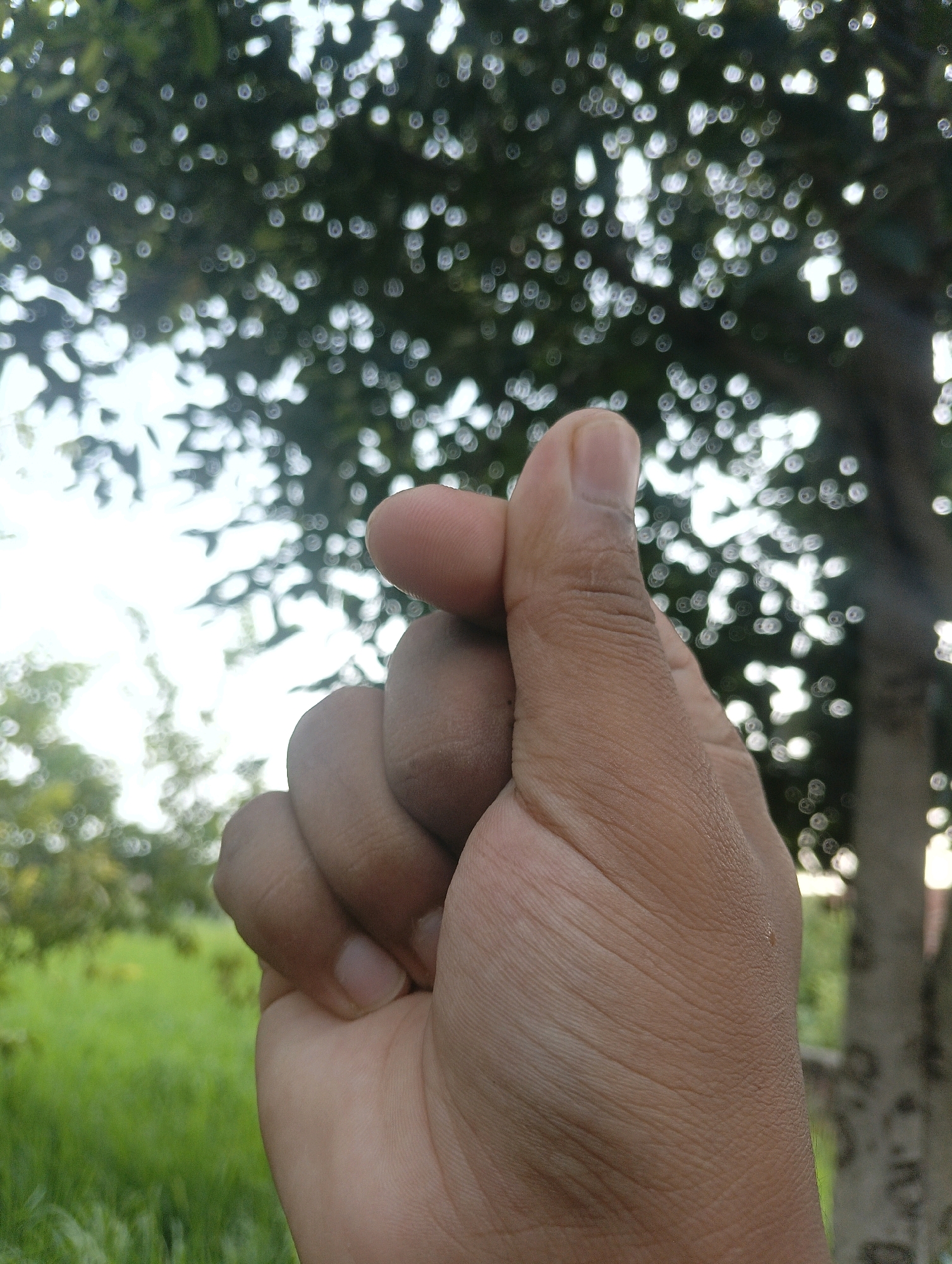 A close-up, over-the-shoulder shot of a person's hand makes a small heart gesture against a blurred background of green foliage and dappled sunlight filtering through tree leaves. The hand, with its palm facing the camera, is positioned in the lower right portion of the frame. The thumb and index finger are brought together, forming the shape of a heart. The skin of the hand displays visible lines and texture. The background is a soft, out-of-focus expanse of bright green grass and the darker greens of leaves, interspersed with numerous bright, circular bokeh lights, indicative of sunlight reflecting through foliage. A portion of a tree trunk with mottled bark is visible on the right side of the image, further out of focus. The scene appears to be outdoors, in a natural or park-like setting. There are no specific landmarks or details that would pinpoint the location to Chahania, India.