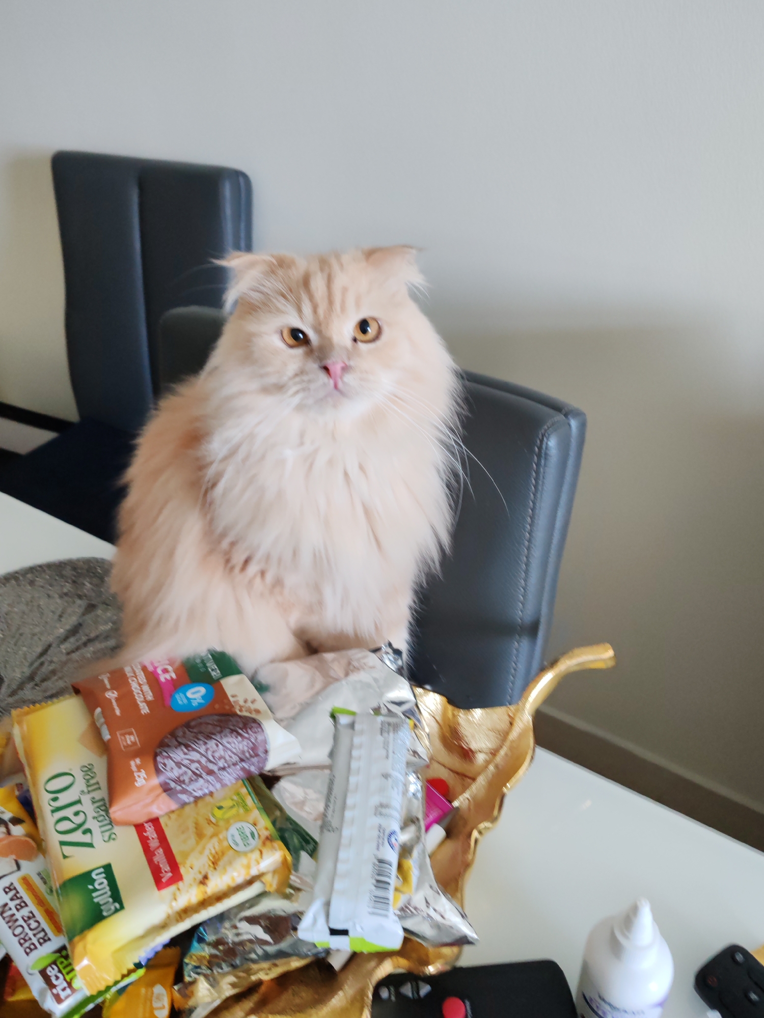 A fluffy, light orange Persian cat with large yellow eyes and folded ears sits on a table in a room, facing the camera. The cat is positioned behind a pile of packaged food items, including "Zero Sugar-Free" bars and "Brown Rice Bar." The table also holds a golden leaf-shaped decorative tray, a black remote control, and a white bottle. Two dark grey chairs are visible in the background. The environment appears to be an indoor setting with a plain wall. The lighting is even, suggesting ambient room light. There are no discernible people or other animals in the frame. The scene is static.