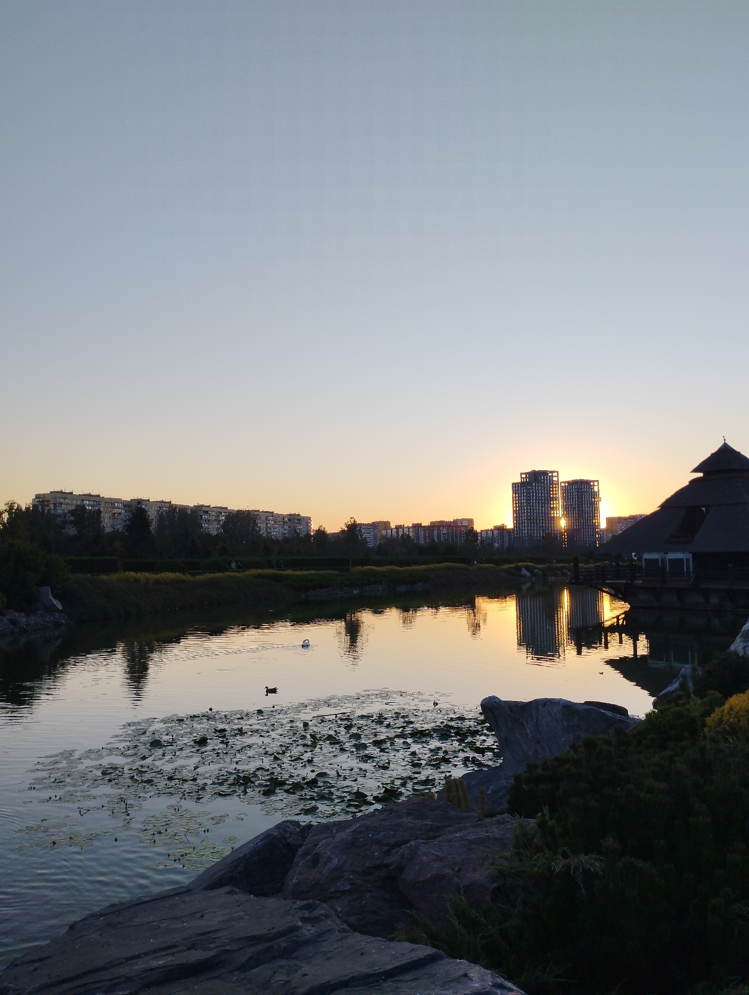 A tranquil lake reflects the warm hues of a sunset in a park setting within the city of Unknown, Unknown. Two tall, modern buildings stand silhouetted against the vibrant orange sky in the distance, with their reflections shimmering on the water's surface. To the right, a traditional wooden structure with a thatched roof juts out over the lake, casting a dark shadow. The lake itself is dotted with lily pads, and a solitary white swan glides peacefully across the water. In the foreground, large, dark rocks are interspersed with lush green bushes, adding a natural texture to the scene. The sky above is a gradient of soft blue and pale yellow, indicating the gentle transition from day to night.