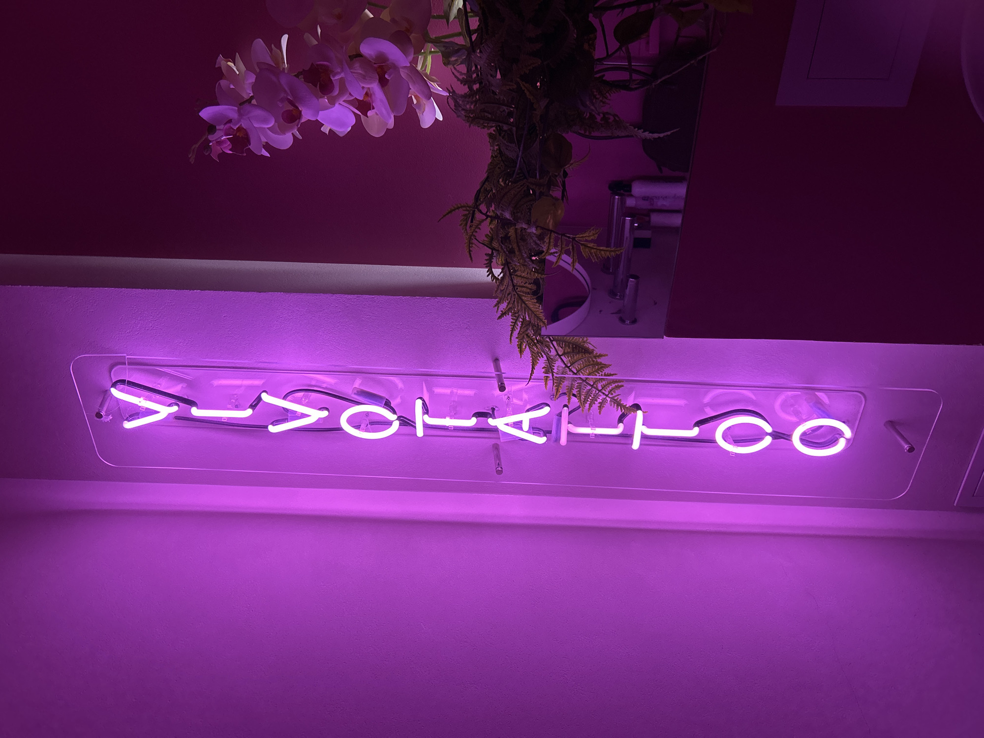This indoor photograph captures a vibrant, dimly lit scene dominated by a glowing neon sign and decorative plants. A bright, cool white neon sign, mounted on a clear acrylic panel, spells out the text ">VOTYATCO" in stylized capital letters. The light from the sign casts a strong magenta/purple hue across the surrounding textured wall and the smoother upper wall and ceiling.
Above the neon sign, on the left, a cluster of artificial white or light pink orchid flowers hangs from the ceiling. To the right of the orchids, artificial fern-like foliage cascades downwards. In the upper right corner, a rectangular mirror is partially visible, reflecting a light fixture or vent and several small, cylindrical objects.
The setting appears to be a modern commercial establishment, such as a cafe, bar, or a themed retail space, designed with a distinct, trendy aesthetic. The purple lighting creates a moody and atmospheric ambiance. There are no people or specific activities depicted, focusing instead on the decorative elements. The visible text ">VOTYATCO" on the sign, in conjunction with the provided location context of Moscow, Russia, suggests it could be a brand name or a stylized rendition of Cyrillic text. The lighting indicates either nighttime or an interior designed to rely entirely on artificial illumination.