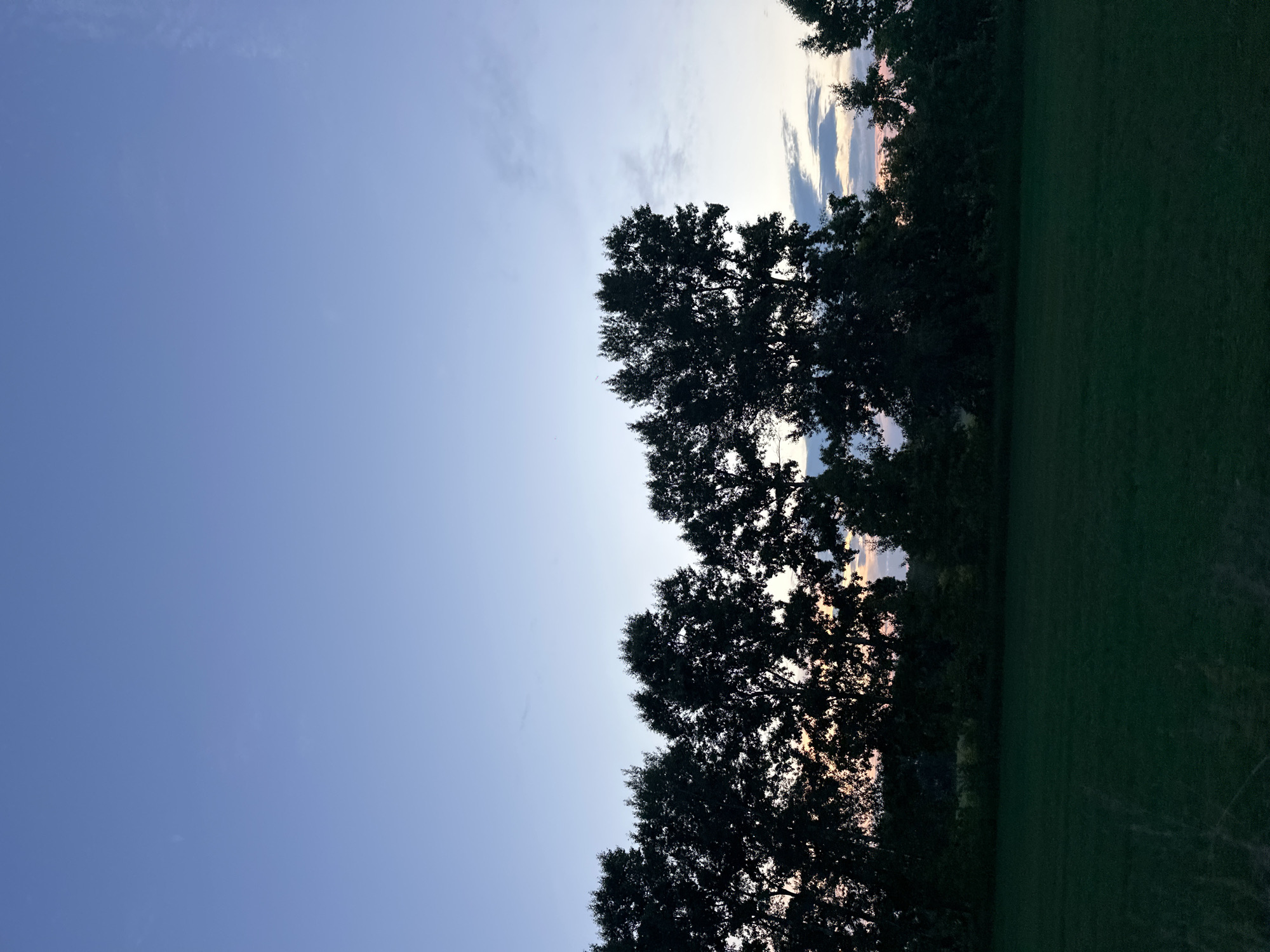 The image depicts a serene landscape at dusk, with a clear, pale blue sky transitioning into softer hues near the horizon. A line of silhouetted trees forms a dark band across the middle ground, their dense foliage obscuring the land behind them. The setting sun casts a warm glow through the gaps in the trees, creating streaks of pink and orange light. In the foreground, a dark green field stretches out, its texture appearing smooth and uniform. There are no people or animals visible in the scene, and no actions or interactions are occurring. The environment is natural and undeveloped, suggesting a rural or semi-rural setting. The image does not provide any specific clues to pinpoint its location within Elanda, Russia, or any other city.