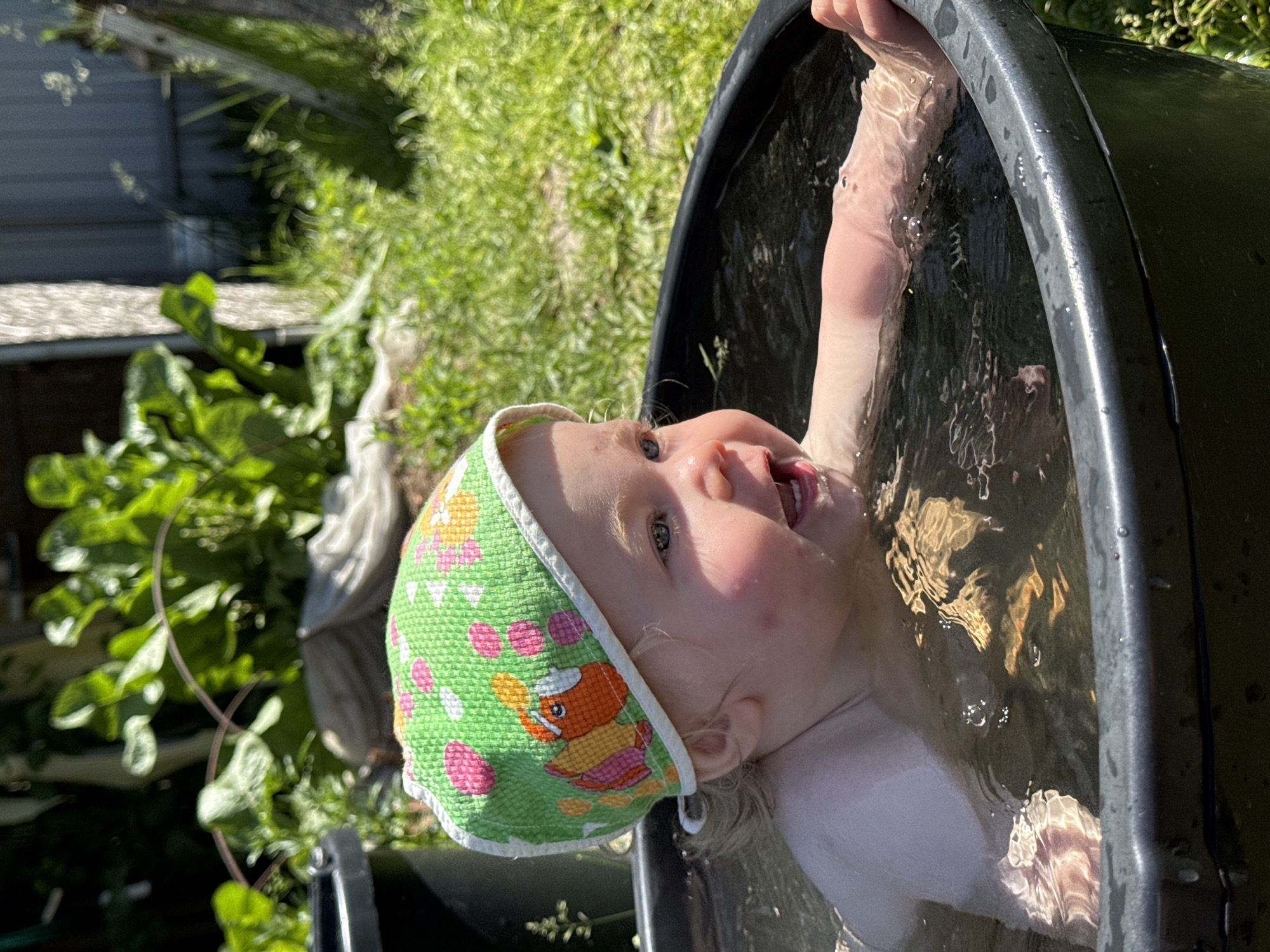 The scene depicts an outdoor setting in Levino, Russia, illuminated by bright sunlight. A young child, estimated to be a toddler, is submerged in a dark grey/black plastic tub filled with water. The child wears a green cap featuring a pattern of pink polka dots and an orange fish illustration. The child's face is turned towards the viewer's right, exhibiting a wide-open smile revealing teeth and blue eyes; the cheeks display a reddish tint. One arm is partially visible within the water, resting near the rim of the tub. The water contains visible reflections. The background consists of dense green foliage, grass, and assorted plants, indicative of a garden or natural growth. On the far left, a dark cylindrical object is partially visible. Towards the right side of the frame, a vertical light-colored post or tree trunk is present, positioned in front of a darker structure that resembles a shed or building wall, which includes an additional vertical element appearing to be a ladder or support beam.