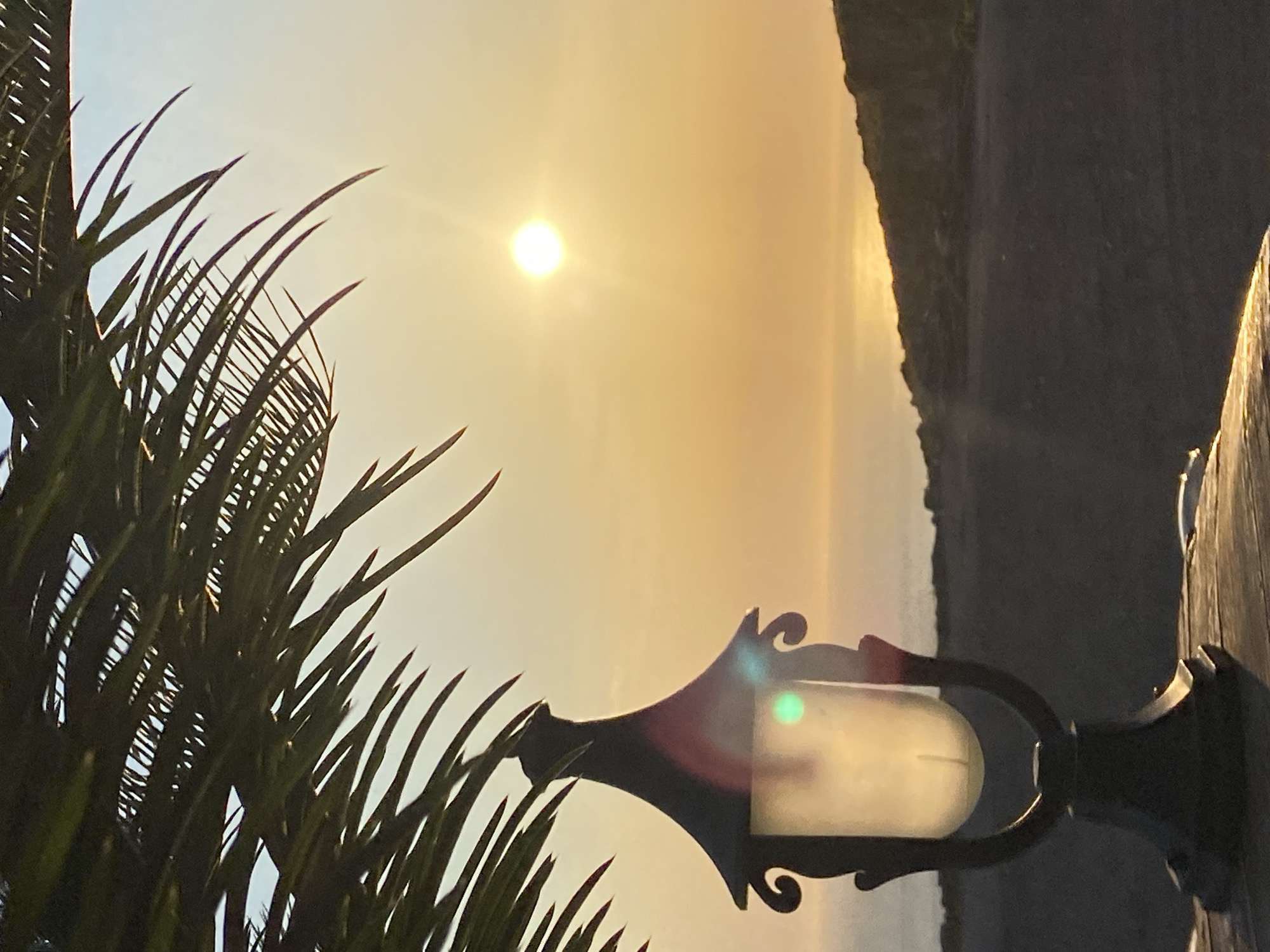 This is a vertical, medium shot of a lamp post against a sunset over the sea in Kovačko Polje, Montenegro. The lamp post, which is dark and ornate, is in the foreground and slightly to the left, with a frosted glass shade. Part of a palm frond hangs over the top left of the frame. The sun is a bright, white disc low in the sky, casting a warm, golden light over the scene. The sea is visible in the background, with a faint reflection of the sun on its surface. A dark, rocky incline forms the horizon line. The ground in front of the lamp post appears to be a dark, paved surface.