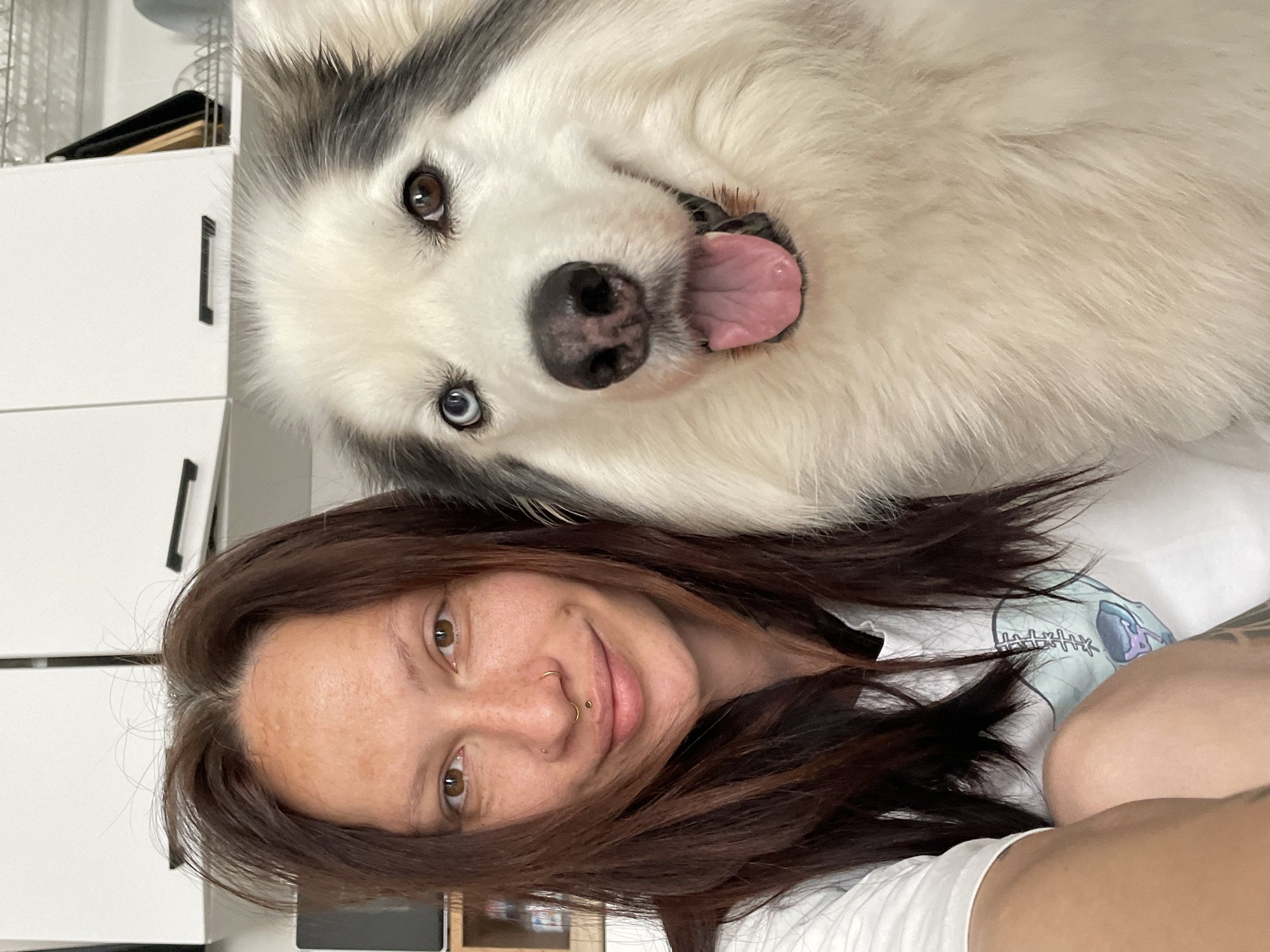 A woman with brown hair and facial piercings poses for a selfie with a large, white husky-type dog. The woman is wearing a white t-shirt and has light skin with freckles. The dog has one brown eye and one blue eye. The background includes a white cabinet with black handles. The image does not provide evidence to place the location in the city of Pervomaysky, Russia.