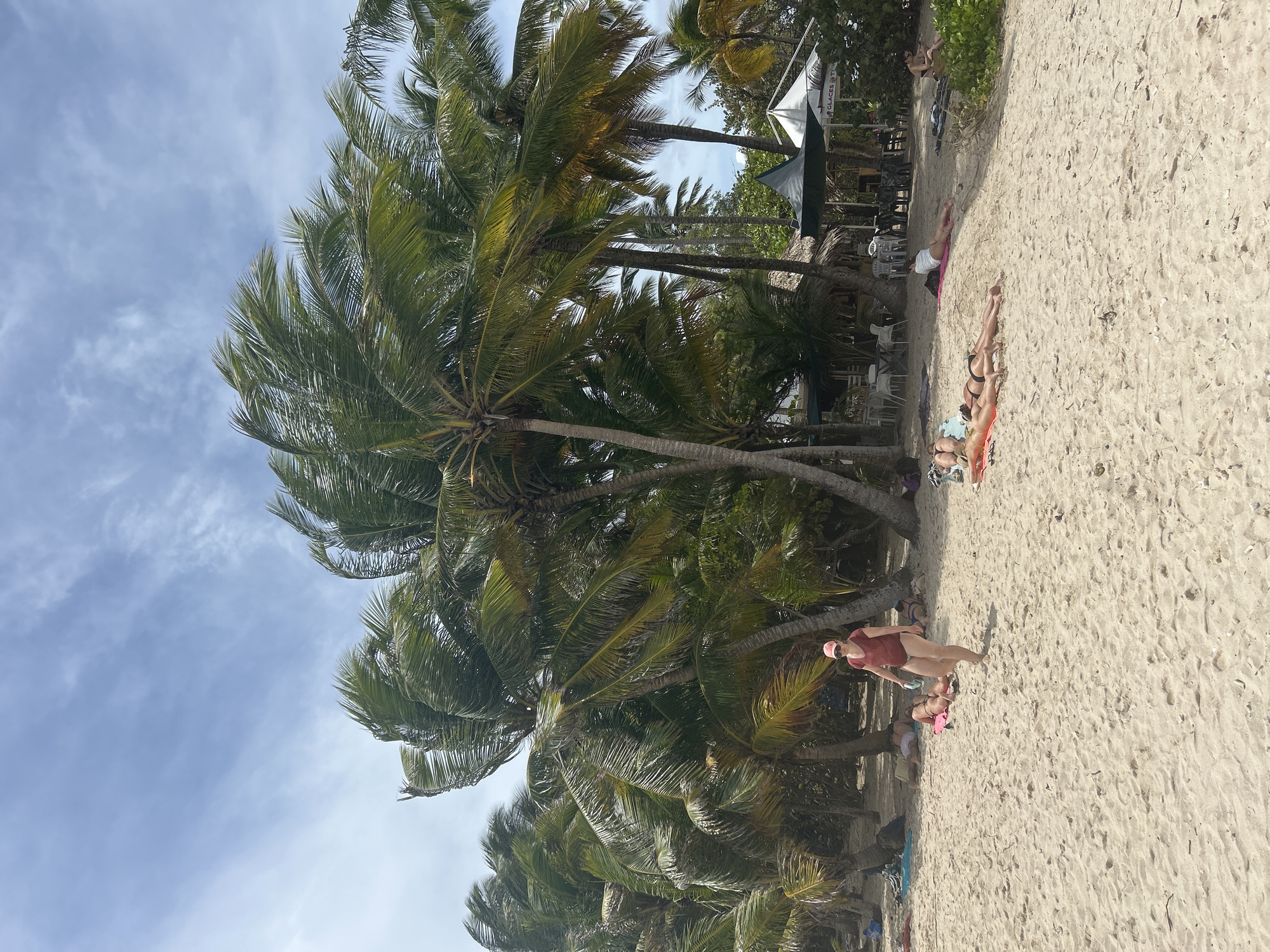 The image depicts a beach scene in Le Gosier, France, characterized by a sandy beach lined with palm trees under a partly cloudy sky. Several individuals are present on the beach, some sunbathing while others are standing or walking. A small building with a shaded awning can be seen in the background. The scene suggests a typical day at a tropical beach.