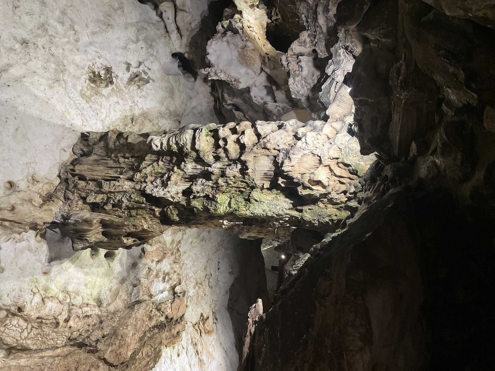 The scene depicts a cavern interior within the city of Rabisha, Bulgaria. A massive, irregular stalagnate column, textured with various geological formations and areas of green biological growth, dominates the central frame, extending from the rocky floor to the high ceiling. The ceiling and walls are composed of light-colored rock, exhibiting intricate patterns of stalactites, flowstone, and fissures, with patches of brown and grey coloration. Artificial lighting illuminates the cave, casting dramatic shadows and highlighting the mineral formations. Two distinct artificial floodlights are visible on a rock formation in the midground, directing light upwards. In the background, a dark passage is dimly lit, revealing what appears to be a constructed pathway with a faint railing. No individuals are present.