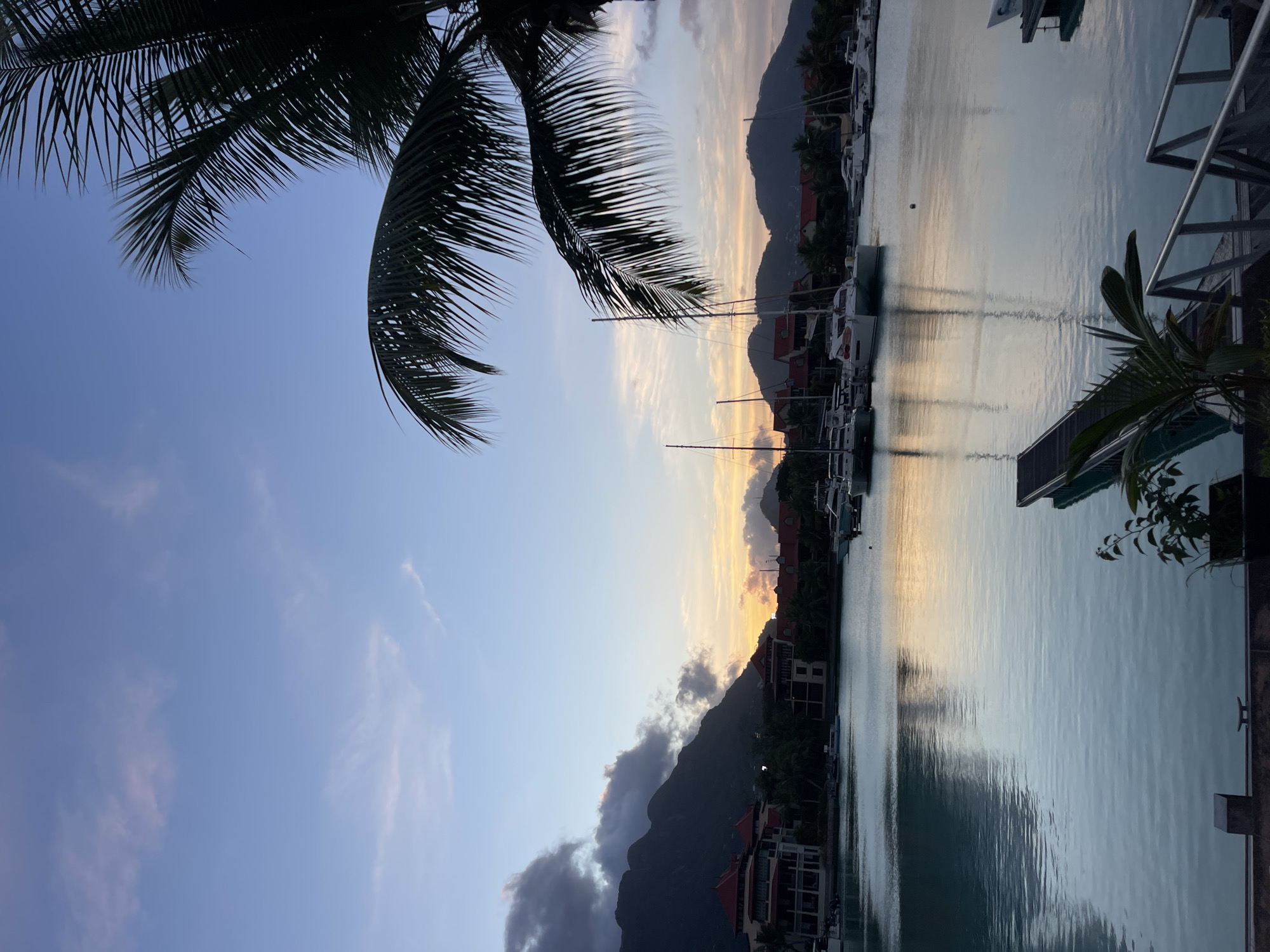 The image captures a serene marina in Providence, Seychelles, during either dawn or dusk. The sky displays a gradient of soft blues, transitioning to hues of pink and orange near the horizon, with scattered clouds adding texture. In the foreground, a palm frond extends from the right, silhouetted against the sky. The calm, turquoise water of the marina reflects the sky and the surrounding environment.
Several sailboats and yachts are docked in the marina, their masts and hulls visible. The buildings lining the waterfront feature red-tiled roofs, typical of tropical architecture. Behind the buildings, dark, misty mountains rise, partially obscured by clouds. A wooden jetty extends into the water from the lower right corner of the frame, with metal railings leading down to it. A small plant is visible in a planter near the jetty. The overall atmosphere is tranquil and picturesque, characteristic of a tropical coastal setting. There are no people visible in the image.
