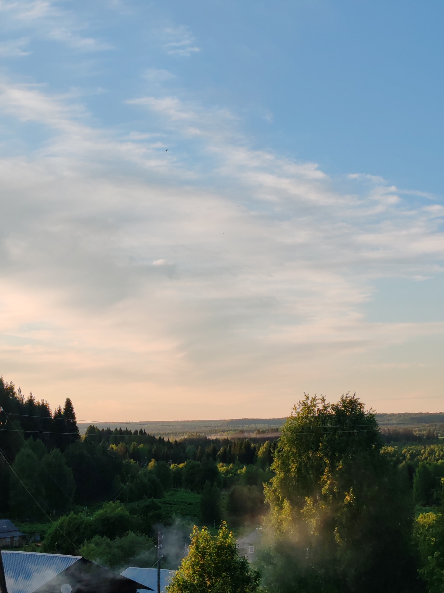 The image displays an elevated view of a rural landscape in Чухлэм, Russia, under conditions consistent with late afternoon or early evening. The sky occupies the upper two-thirds of the frame, transitioning from a clear, light blue in the zenith to a paler, hazy peach-grey at the horizon. Scattered cirrus and small cumulus clouds are present throughout the sky, and multiple small, dark avian forms are discernible.
The midground is characterized by an extensive, undulating terrain covered in a dense, mixed forest comprising both coniferous and deciduous trees, exhibiting various shades of dark to bright green. The forest stretches to a distant, hazy tree-lined horizon.
The foreground on the left reveals the upper portions of two structures. The uppermost structure features a corrugated metallic roof, likely grey, with a circular satellite dish or antenna visible on its surface. A plume of white-grey smoke or mist originates from the vicinity of this roof. Partially below this, a second structure with a dark, pitched roof is visible. Utility lines, consisting of multiple wires, extend horizontally across the upper-left foreground. On the right side of the foreground, a large, full deciduous tree with bright green foliage is prominently featured, illuminated by golden light that also highlights a haze or mist concentrated around its lower branches and base.