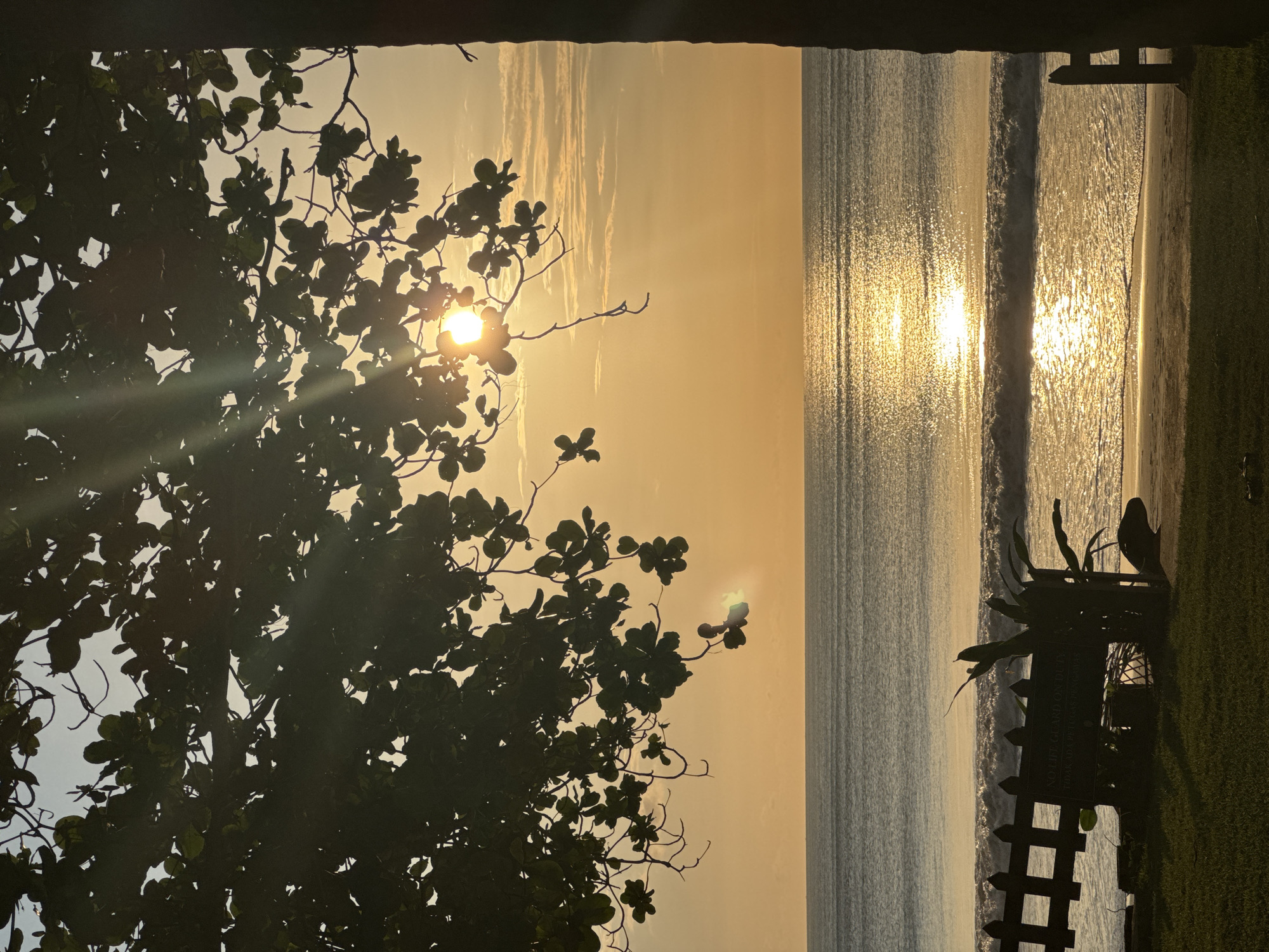 The photograph, likely taken in Kuta Selatan, Indonesia, presents a view of the ocean through a partial frame, possibly a doorway or window. A large tree occupies the left side of the frame, with its foliage heavily obscuring the sun, which is visible as a bright orb shining through the leaves. The ocean spans the center and right of the image. The sun reflects strongly on the water surface. The right edge of the photograph shows a fence-like object overgrown with vegetation along with a patch of green grass, suggesting a garden or lawn area. The scene is bathed in a warm, golden light, characteristic of sunrise or sunset.