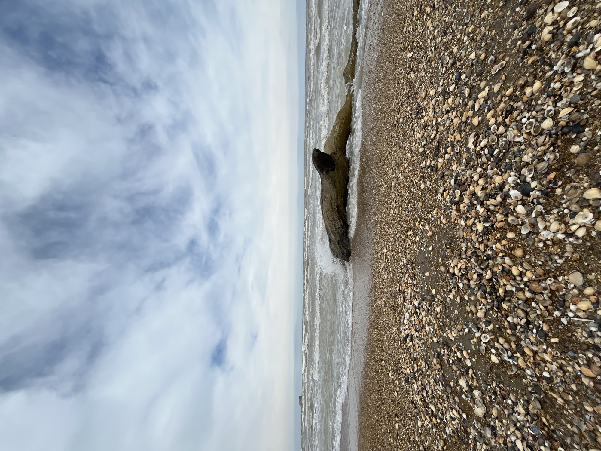 The image shows a beach scene, with a sky filled with scattered clouds on the left side of the frame. The sea is in the middle, with waves approaching the shore. On the right side, the beach is covered with numerous seashells. A large piece of driftwood lies where the water meets the shore. It may be located in the city of Kaspiysk, Russia.