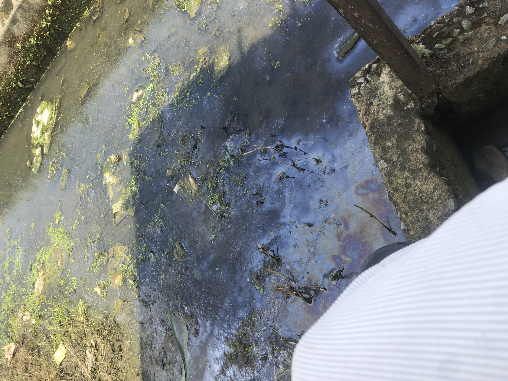 This image depicts a polluted water channel located in Ado, Nigeria. The water is murky and covered with a dark, iridescent film, indicative of oil or chemical contamination. Patches of green aquatic plants float on the surface, interspersed with debris and dead plant matter. The channel is lined with concrete structures and some vegetation grows along the edges. In the foreground, a portion of a white, ribbed object, possibly clothing or fabric, is visible, obscuring part of the view of the water and the adjacent concrete edge. A wooden plank extends diagonally across the scene, resting on the concrete structure. The overall impression is one of neglect and environmental degradation.