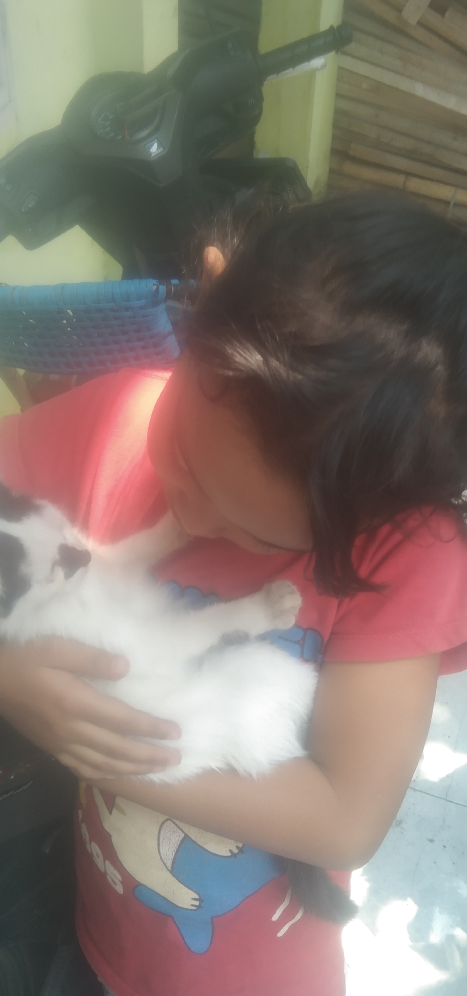 A young person, likely a child, with dark hair is holding a white cat with black markings. They are wearing a red t-shirt with a cartoon character printed on it. The person is nuzzling the cat. The background includes a motorcycle and a bamboo fence. The scene appears to be outdoors, possibly in a yard, with sunlight casting shadows. The location is identified as Rahayu, Indonesia.